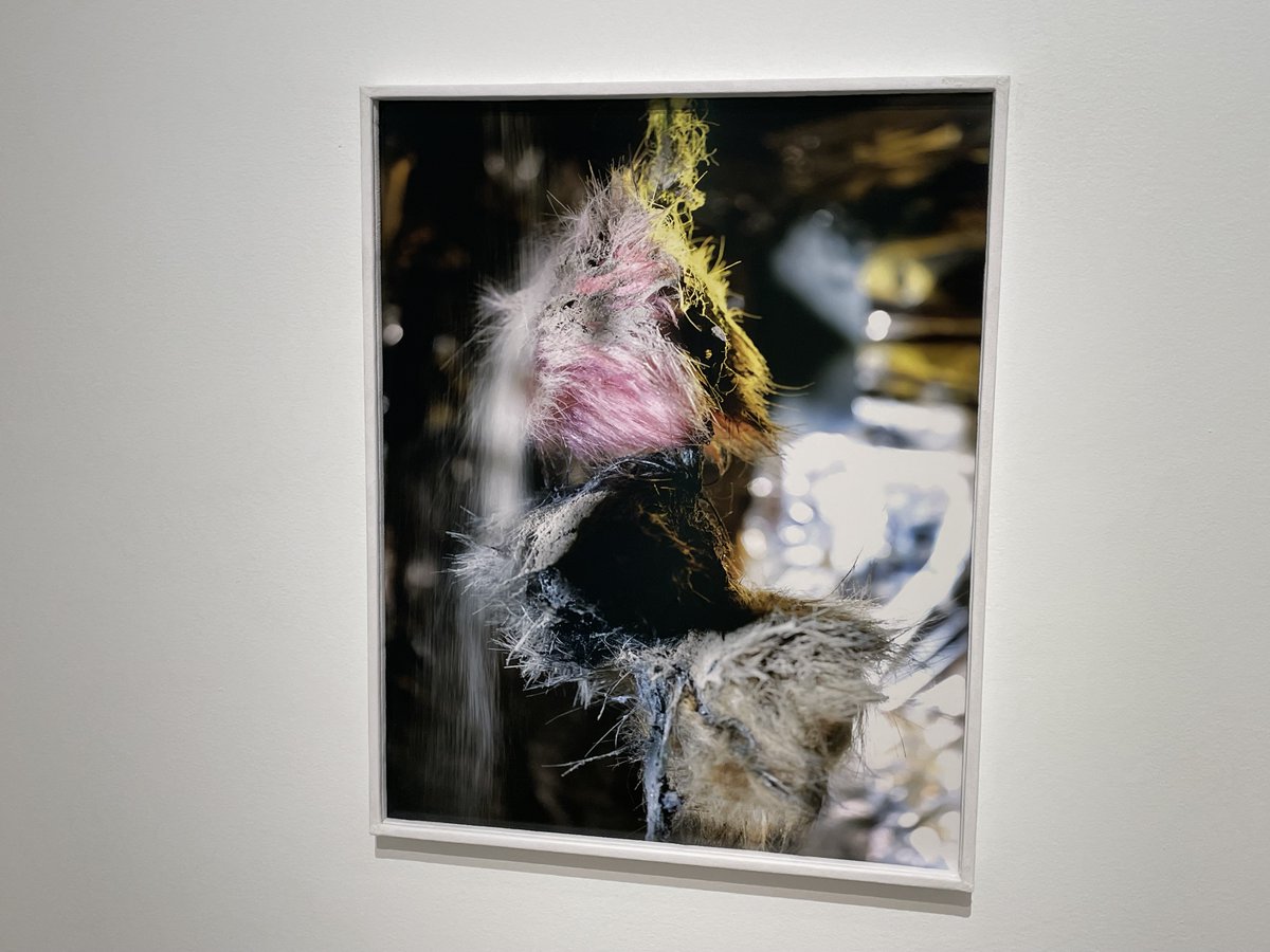 Daybook: A mysterious combination of furred textures and flared blur. Diane Severin Nguyen (from 2023) in the Hope is a dangerous thing group show at PPOW Gallery. collectordaily.com/diane-severin-…