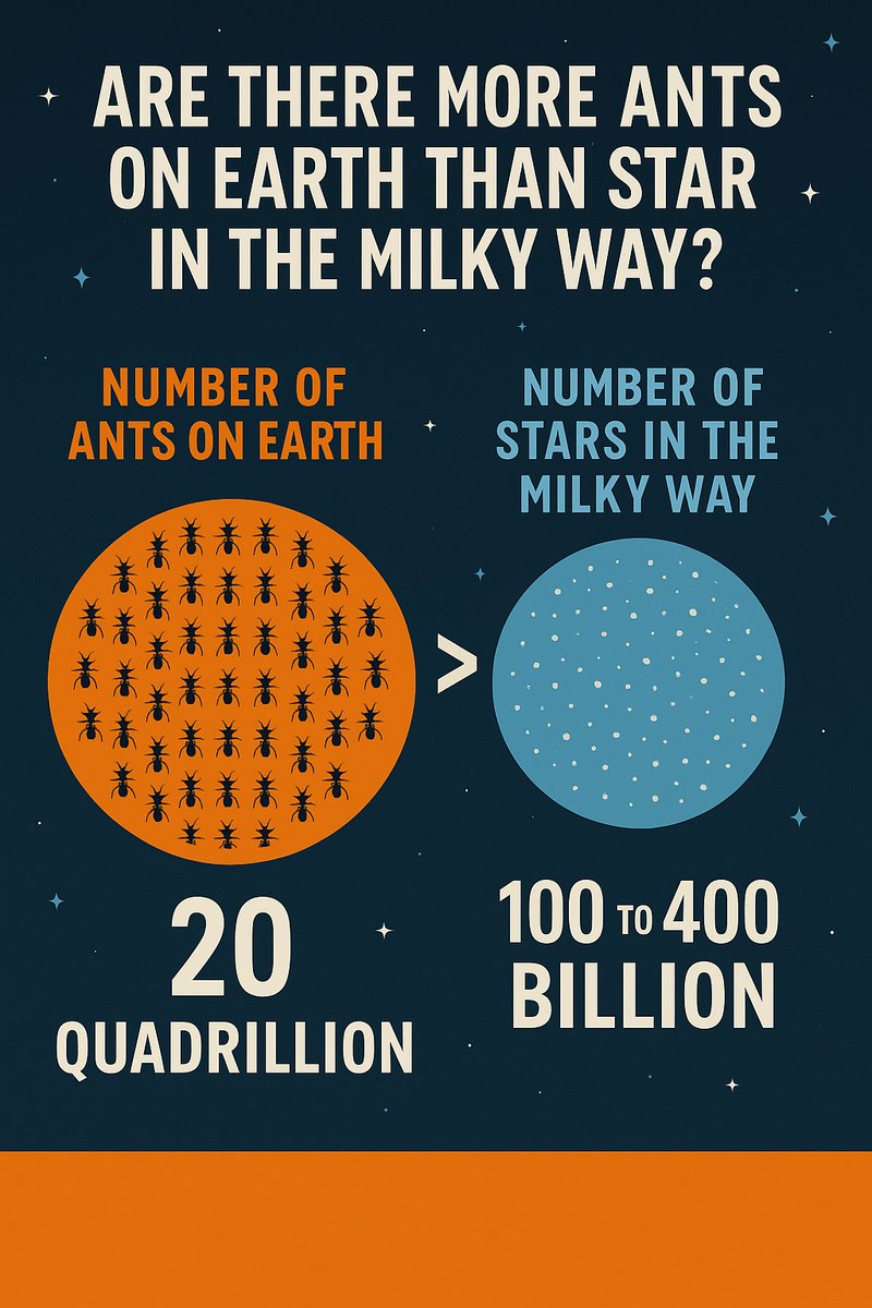 Dr Bruce M Firestone tweet media