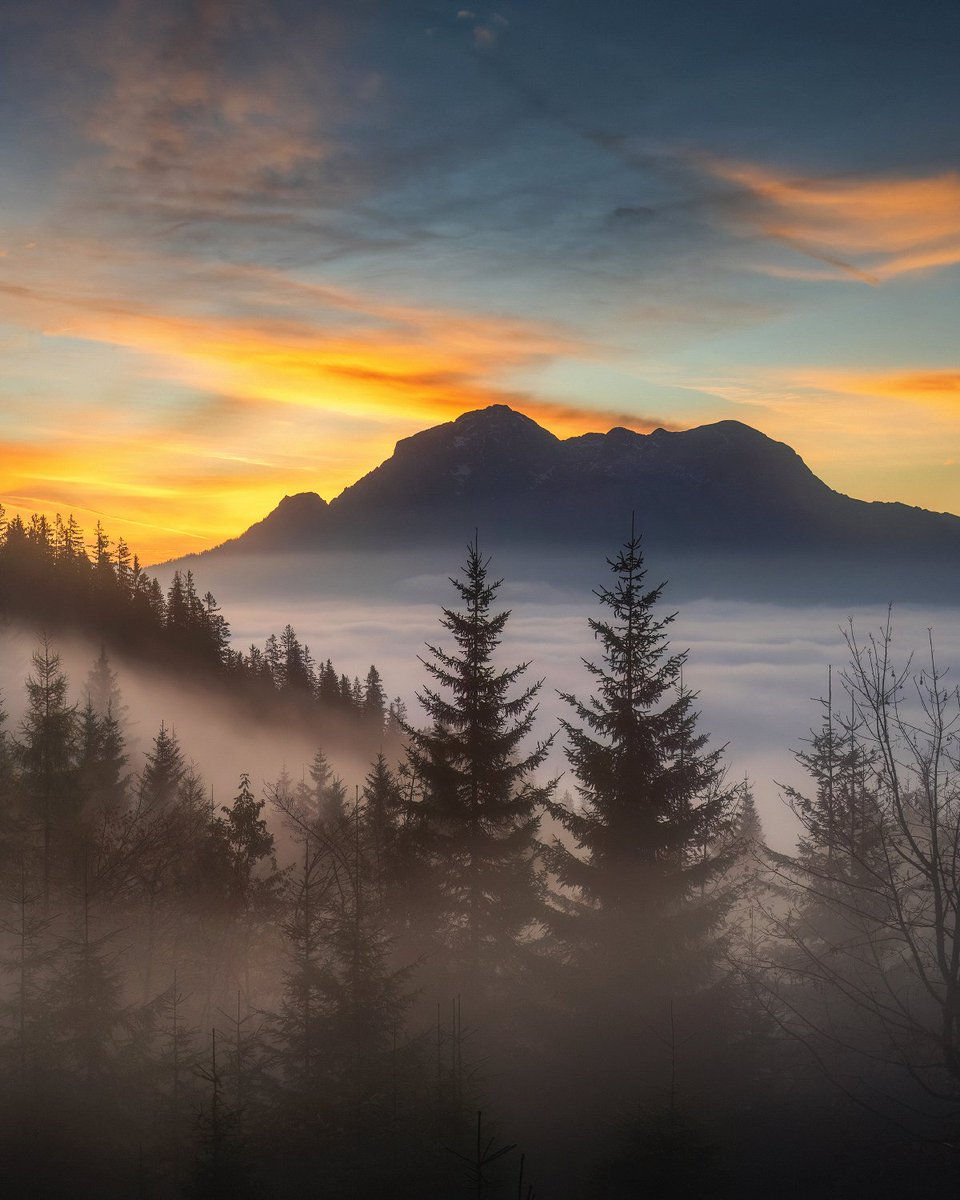 Refreshing Fog
Wish I could immerse in cool, wet fog right now due to the hot temperature outside.
Bavarian Alps, Germany

#landscapephotography #landschaftsfotografie
#sunrise