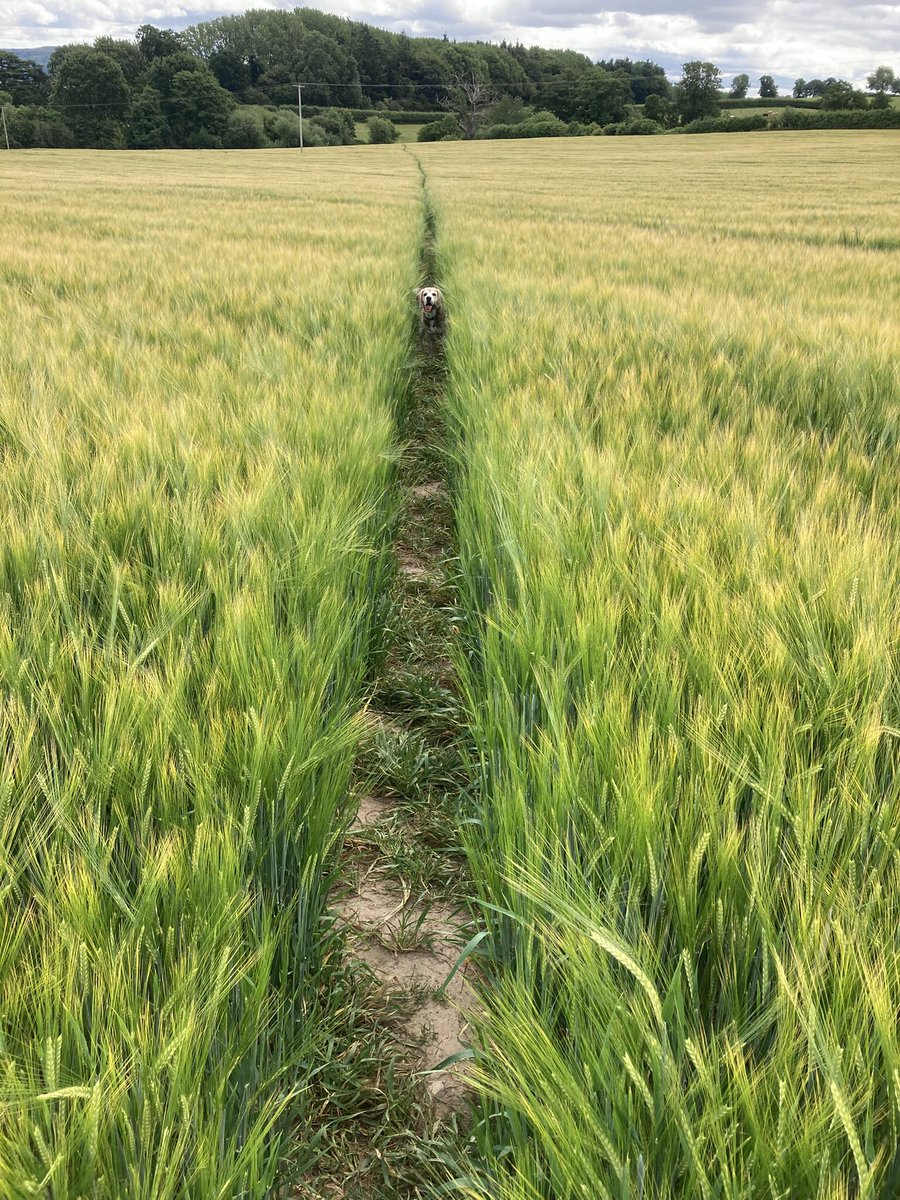 Good morning pals 👋🏻🐾👋🏻🐾 Nice and cool down here