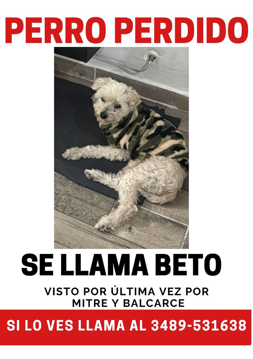 Ñ
Seguimos buscando a Beto, desapareció el Sábado 21/06.
Es un caniche mezcla maltés blanco. Tiene 15 años y es ciego de un ojo. 
Tenía puesto un abrigo estilo camuflaje.
Visto por última vez por Mitre y Pueyrredon. 
PIDO QUE ESTÉN ATENTOS Y AVISEN SI VEN ALGÚN PERRO PARECIDO!