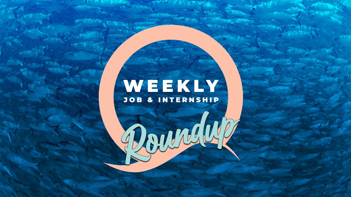 Check out this week’s Roundup of #jobs and student opportunities! 
📚 STUDENTS: 
1. Florida Sea Grant is now accepting applications for the Florida Sea Grant-Guy Harvey Fellowship. This fellowship supports up to eight students who are conducting research related to the biology,