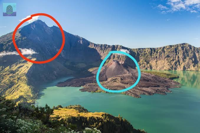 Tanyarl 💚 tweet media