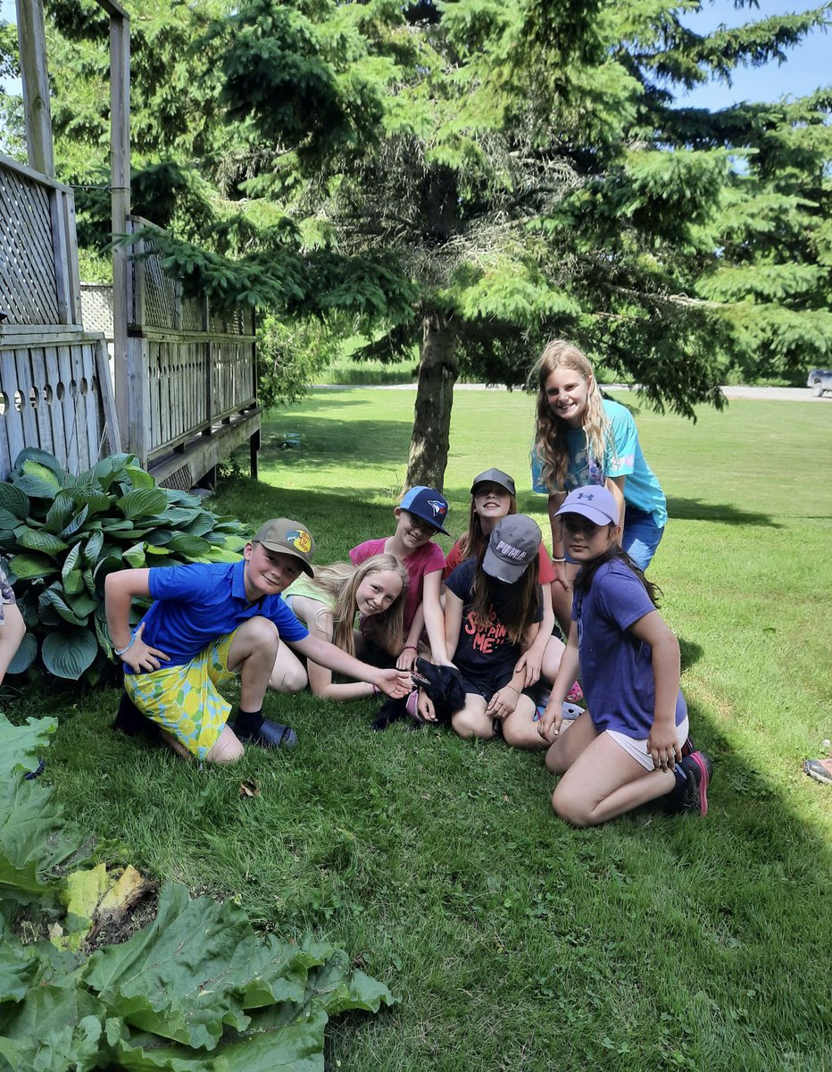 stluke130's tweet image. The garden is looking great! The students have enjoyed working on this project and look forward to trying out a few good potato recipes in the fall when they harvest them! #PVNCBeingcommunity #PVNCInspires #DeepLearning