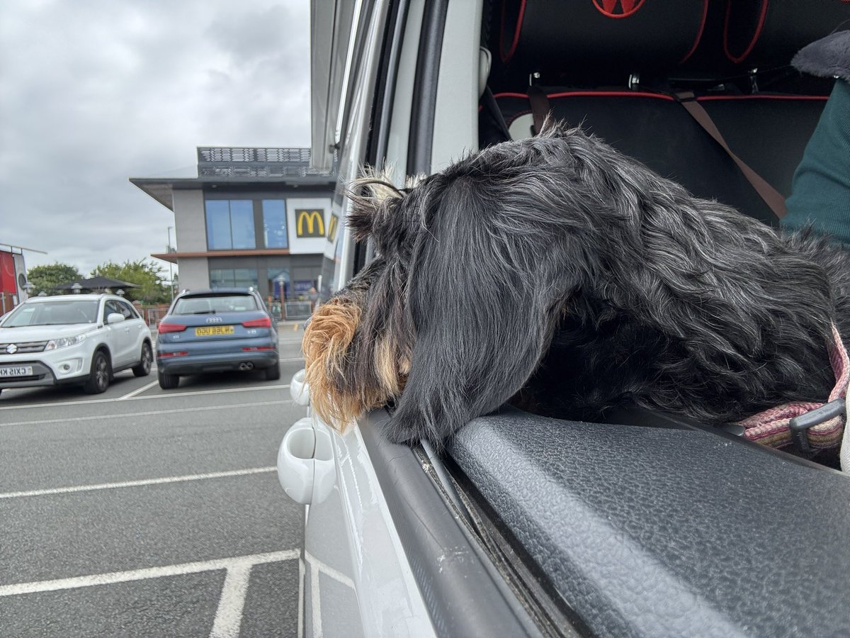 IsabellaDaxie's tweet photo. Chicken nuggets please and crunchy carrot bag 💖 
Parking bay 4 waiting my order 
😂😂😂 https://t.co/RQ4ntIlfV9