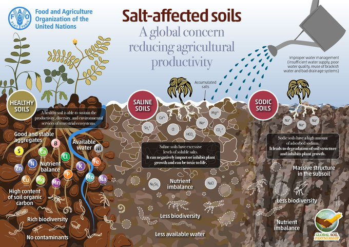 TNIAMProject's tweet photo. Environmental Specialist
@Worldbank @WorldBankWater @WBPubs @WorldBankIndia @tamilnadu_wrd @WBG_Climate @WBG_Environment
#ClimateChange
#GlobalWarming
#Carbonfootprint
#Biodiversity
#Resilienceplanning
#Soilhealth
#Planthealth
#WaterQuality
#Climateregulation
#Sustainabledevelopment
#Pollutionfree
#Pollutionimpacts