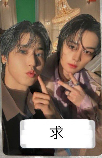 zuobang19771003's tweet photo. Stray Kids スキズ Hollow 
ユニットトレカ 交換

譲 : マーガリンズ(🐿🐶）
       ハン・スンミン

求 : 味噌(🐰🐿）
       リノ・ハン

郵送での交換希望です📮
お声かけお待ちしております🙇‍♂️ https://t.co/Z7wkmz6tLp