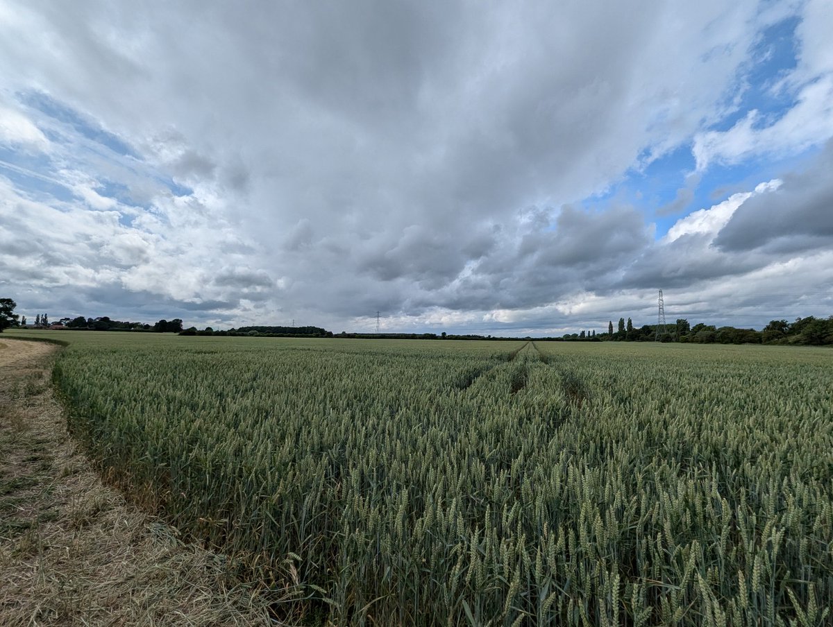 C_A_White's tweet image. Yesterday at the @AHDB_Cereals strategic Farm North open day. We dodged showers and learnt about the #drainage, #earthworm and #nutrition trials. Still smiling at the end of the day! #onfarmresearch @Cliveblacker @anne_bhogal @blacker_david
