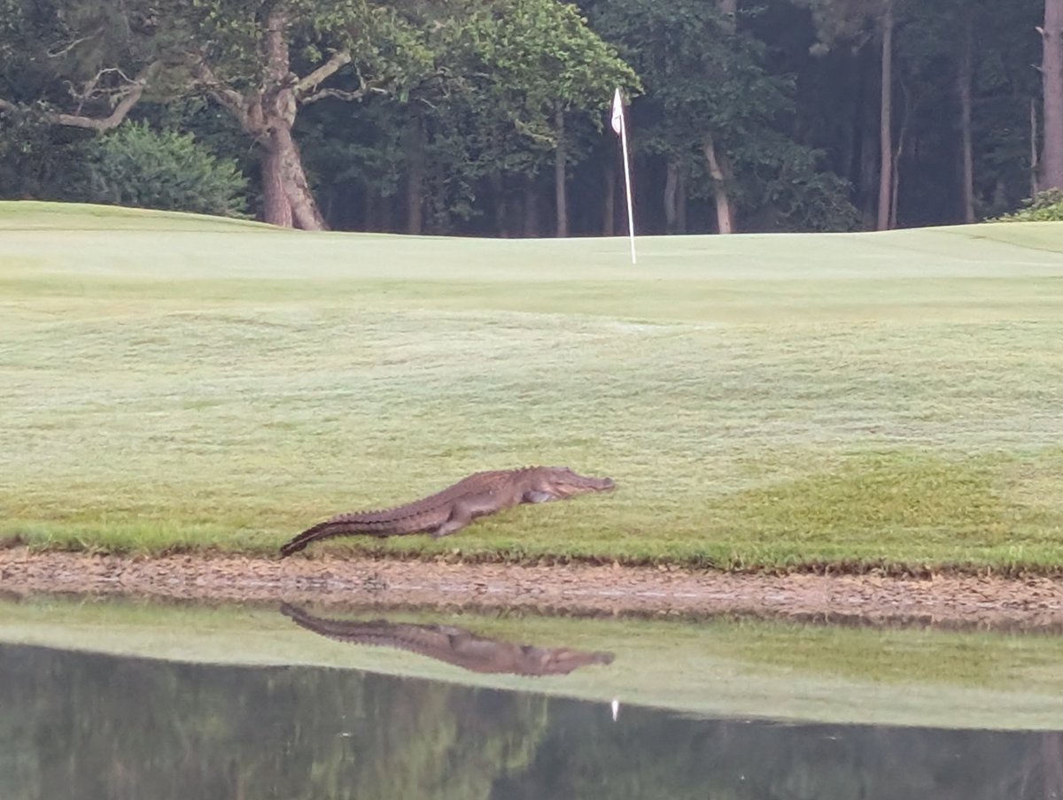 Tim Cunningham tweet media