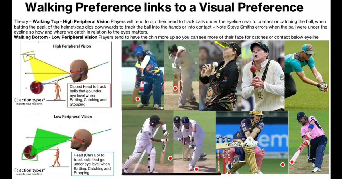 As Part of the ActionTypes® ATEP Presentation, I was talking and showing apparatus that I use to help develop visual preferences, some of the French speakers gave really useful feedback to elaborate on the points so I have added slide decks I tend to use in coach education.
In