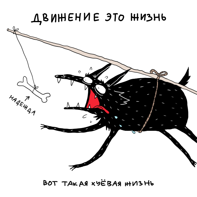 Типичные 𝕏 (@kadabrus) on Twitter photo 