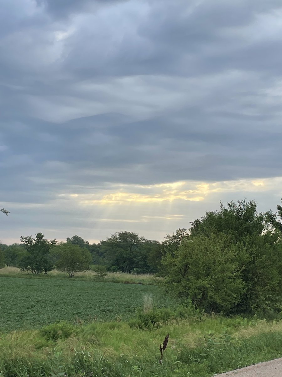 God, your light is everywhere-even in attempts to cover it; your light is always there shining for us.