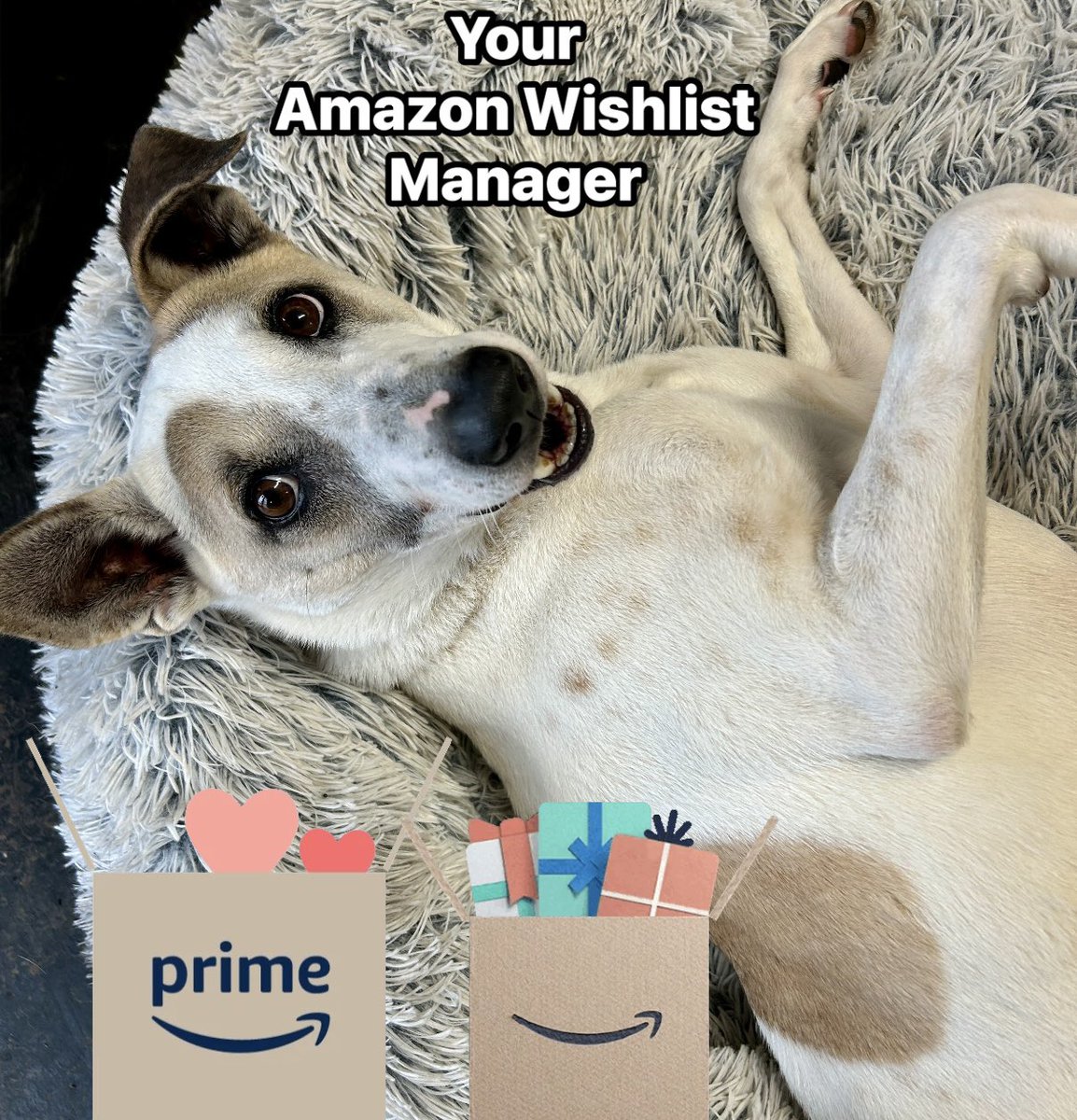 We are running incredibly low on many essential items if anyone would like to send a gift from our Amazon Wishlist 🙏
amazon.co.uk/hz/wishlist/ls…