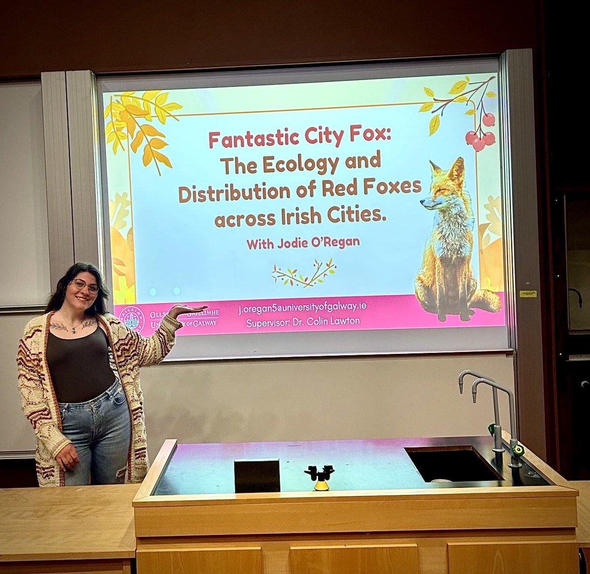 Urban Fox Survey 🦊 tweet media