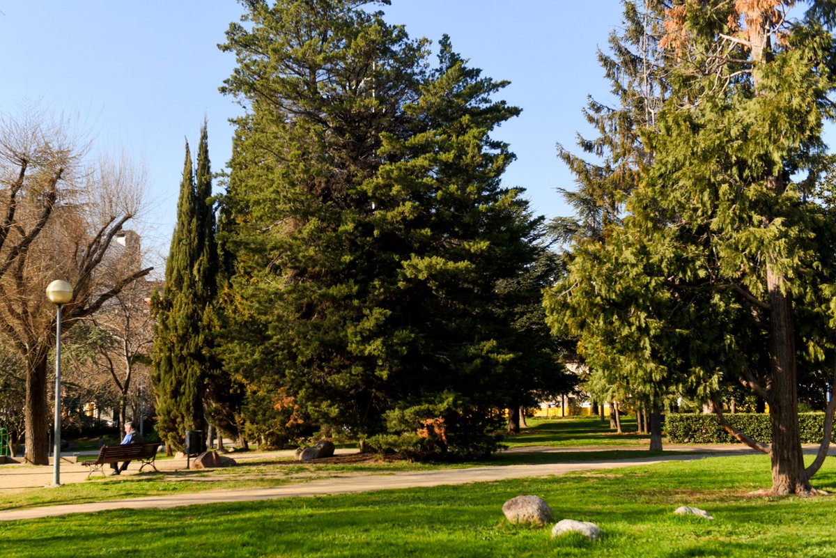 Granollers disposa d'uns quaranta refugis climàtics ☀️

📍  Un mapa recull els espais a l’aire lliure, amb ombra i fonts, i els equipaments municipals on refugiar-se en episodis de calor intensa.

Més informació a: bit.ly/refugisclimàti…