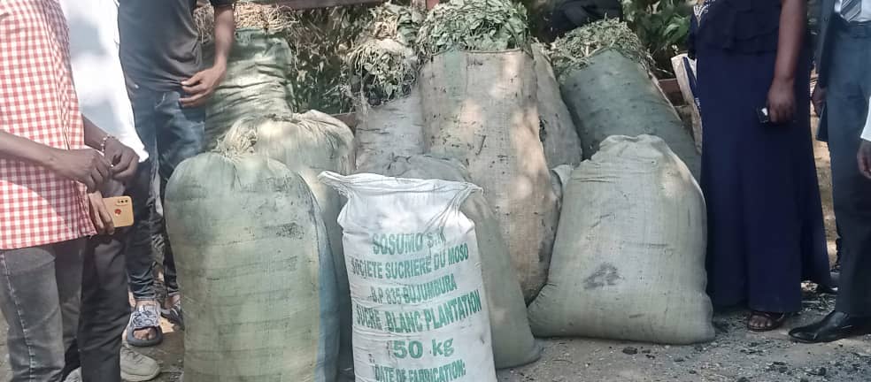 #Marangara: Kur'uyu wa gatatu igenekerezo rya 25/06/2025, Musitanteri wa komine #Marangara yagendeye abanyeshure biga kaminuza zitandukanye zo mugisagara ca #Bujumbura. Yabashikirije imifuko 5 y'amakara, 200kg zibiharage, 200kg zifu y'ibigori na 50kg zisukari. @NgoziProvince