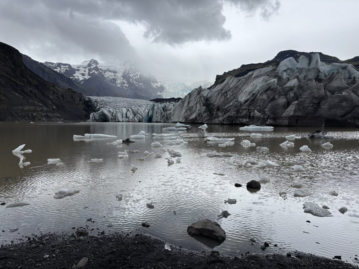 Roland A Martinez tweet media