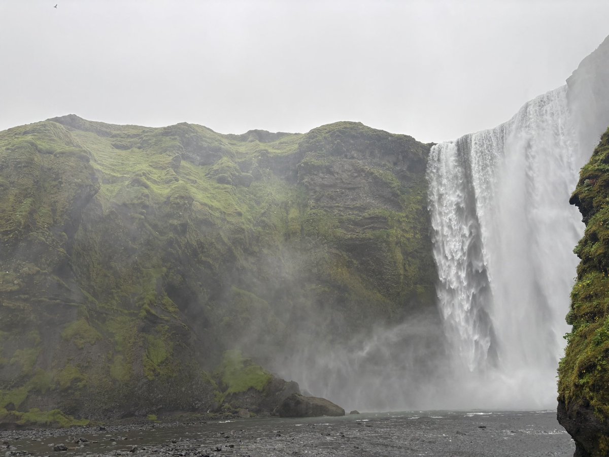 Roland A Martinez tweet media