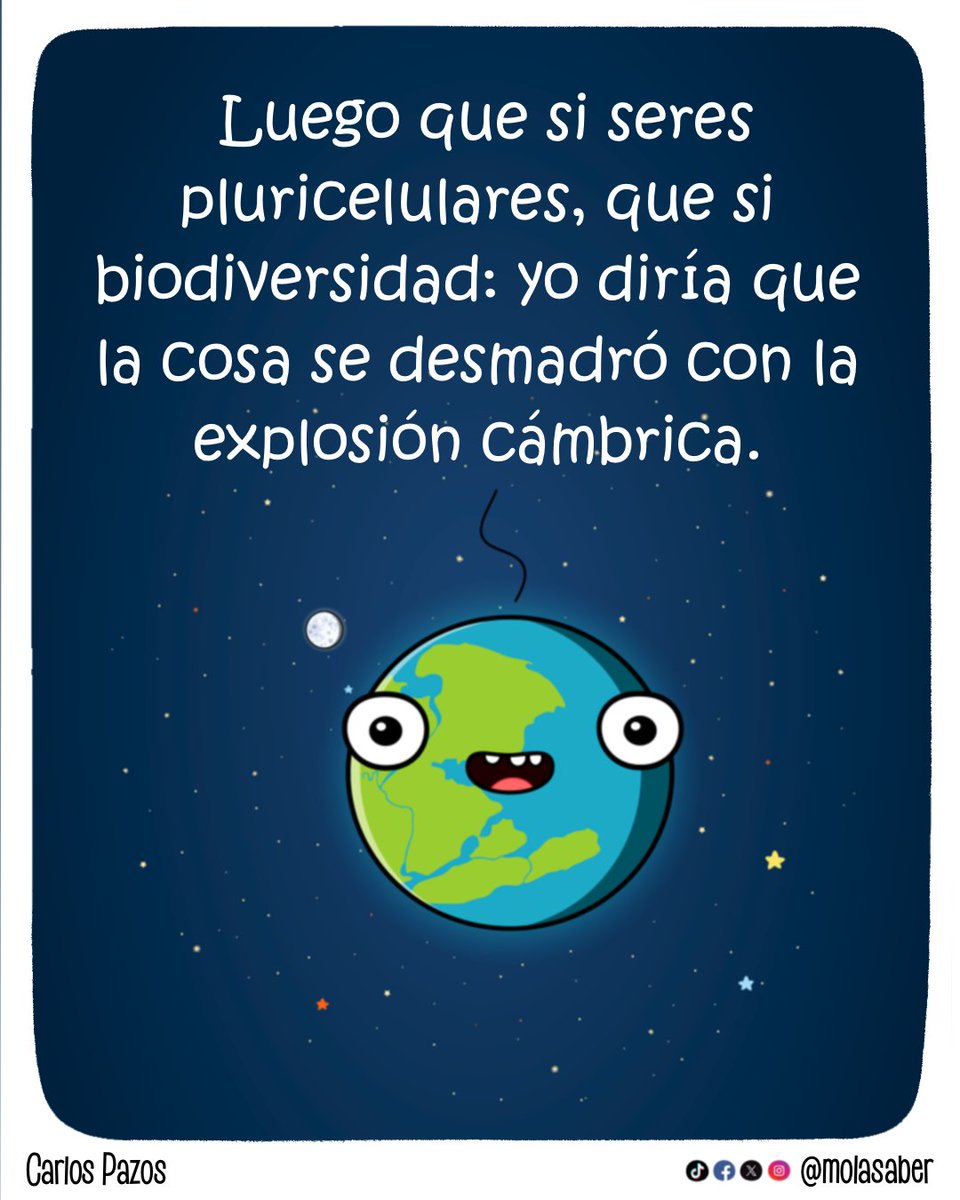 MolaSaber's tweet photo. ¿Que le habrá dado? https://t.co/zbBux127rB