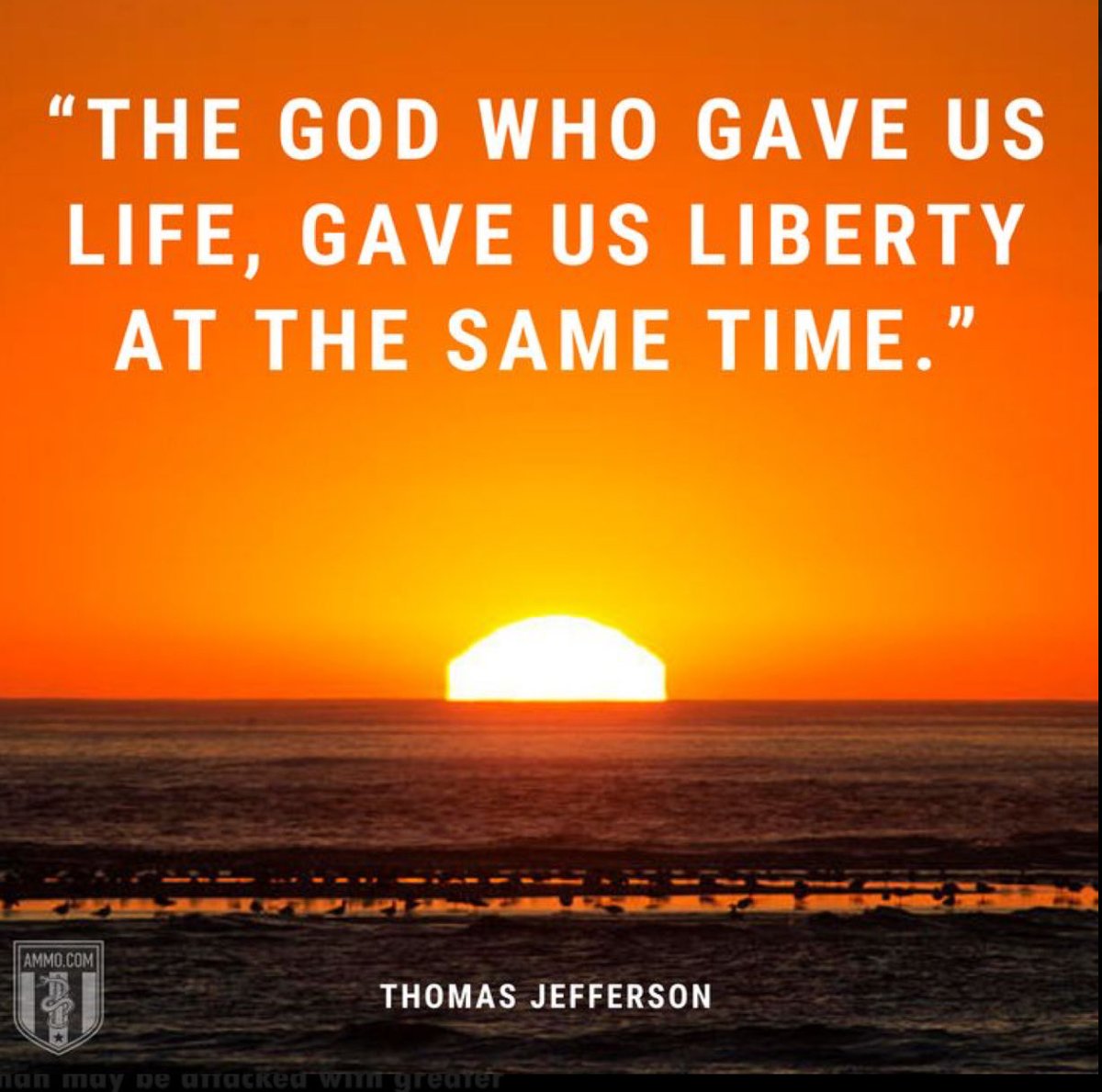 Morning. God, Country, Family, Freedom, Trump, MAGA.  WE are millions, act accordingly from within every state. Psalm 91