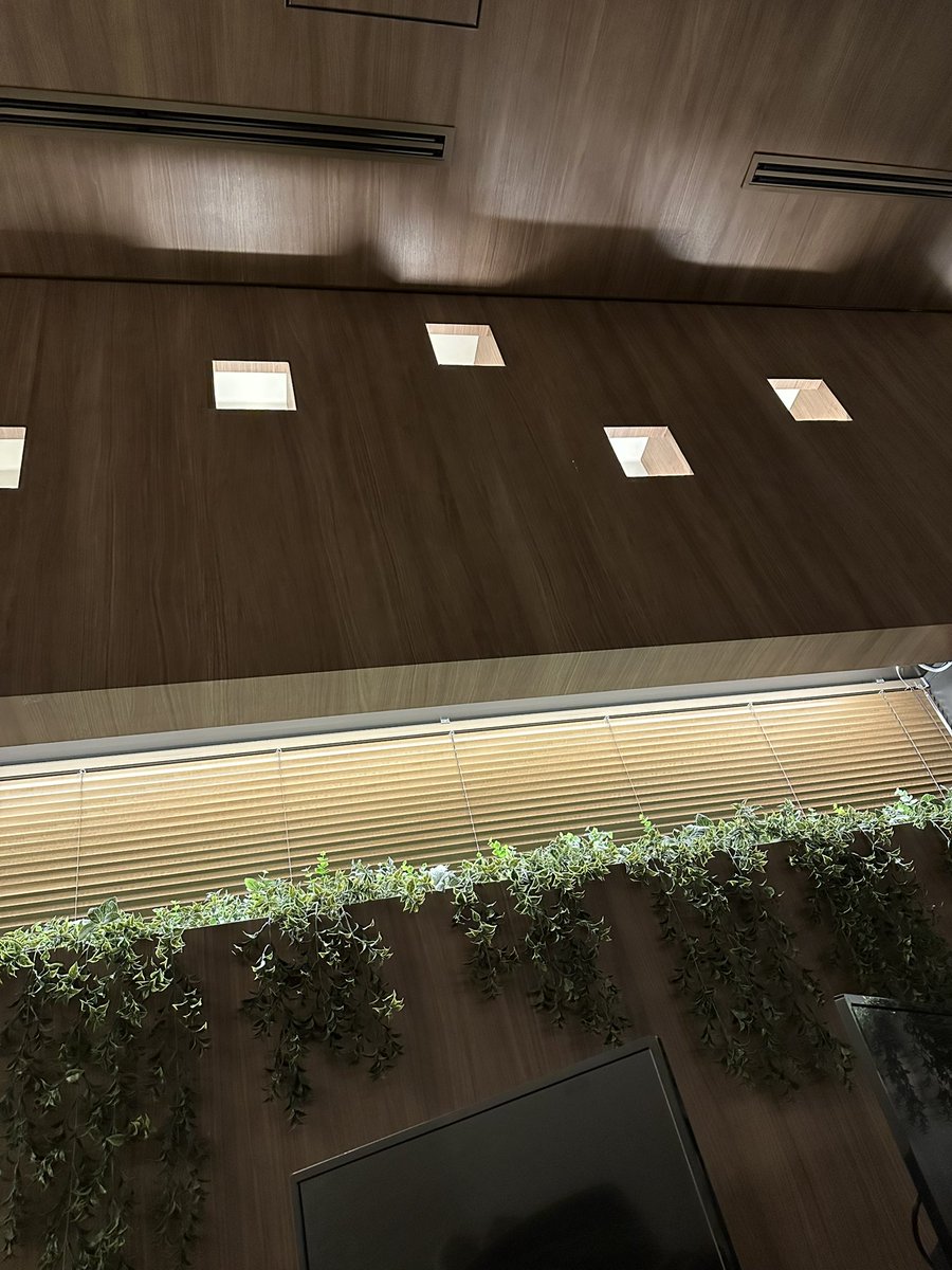 久しぶりに寝にきた😸