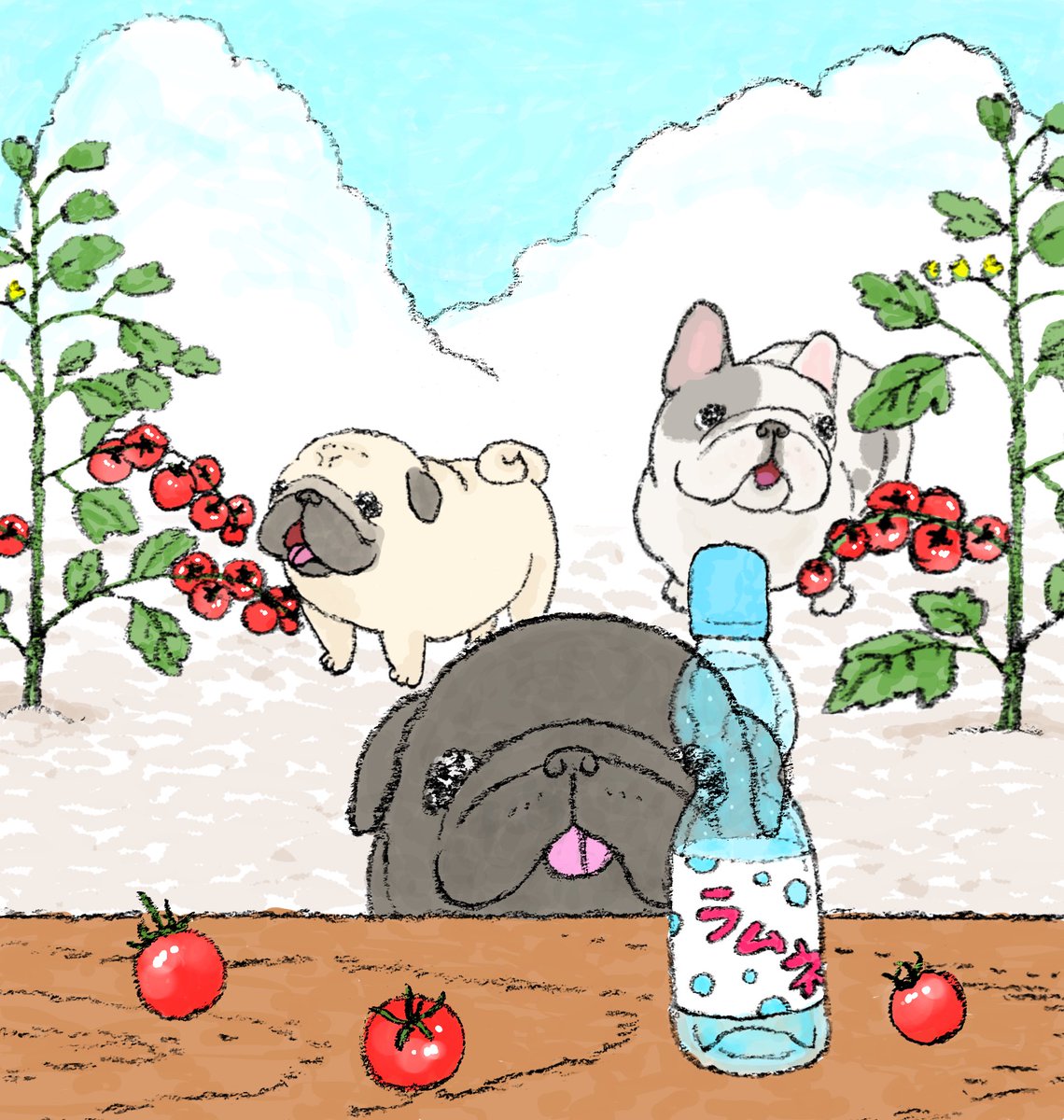 ハナちゃん (@89no87chan) / X