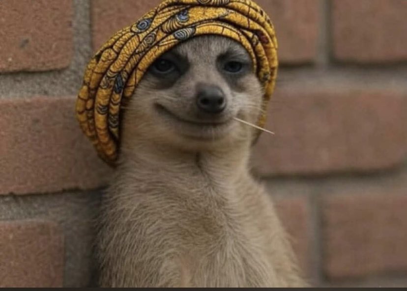 Umuada watching you bring Dubic Malt when they asked for Amstel Malt😏😏