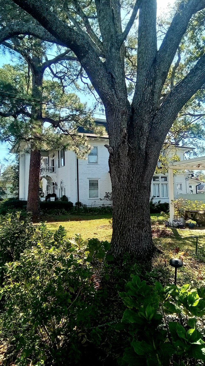 Good morning friends. 
From Waycross the biosphere town. 
Love is everywhere specially at home...