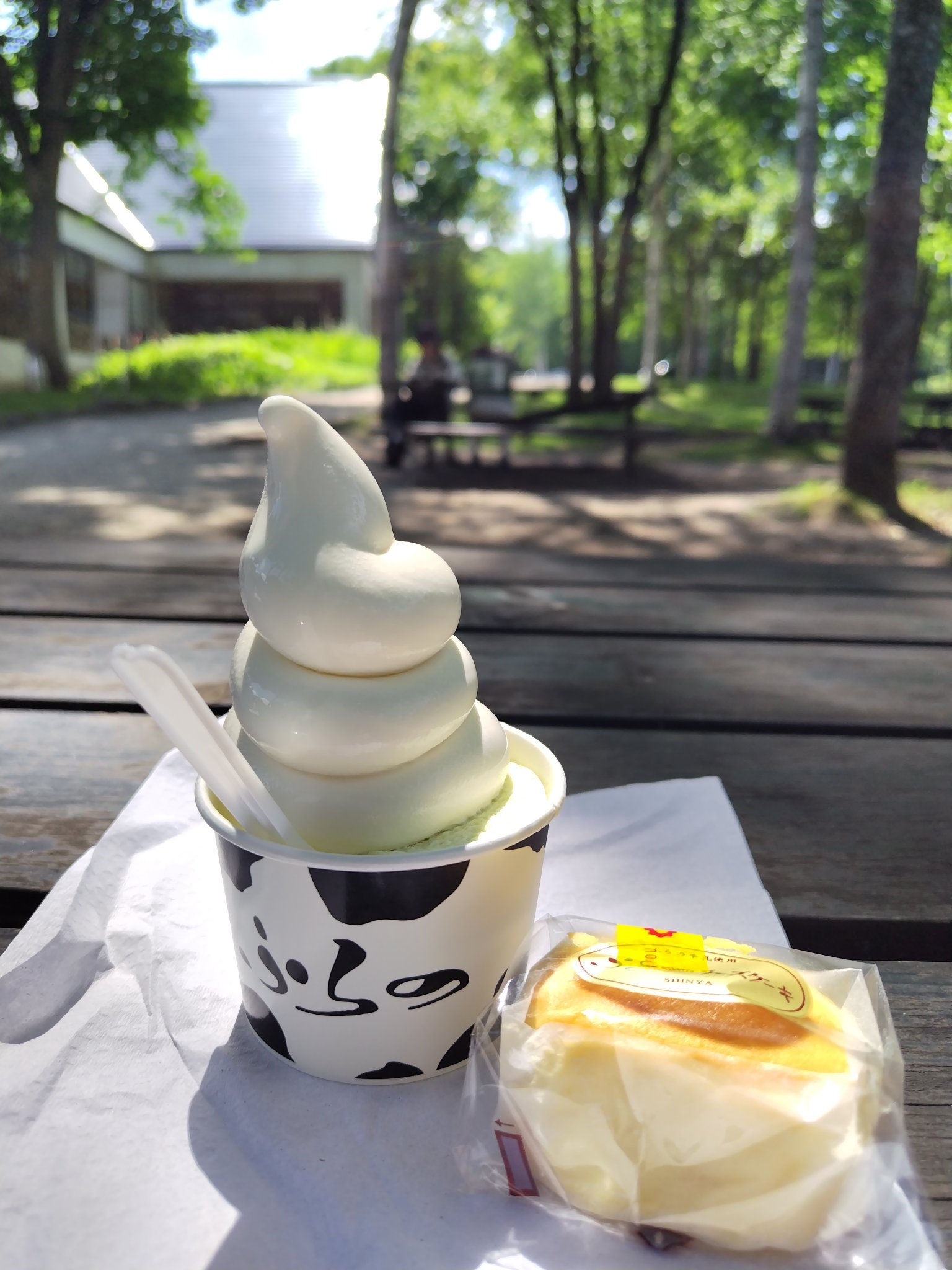 ❁よっこ❁ 今朝5時に家を出て向日葵の写真を撮ろうと張り切って行ったけど