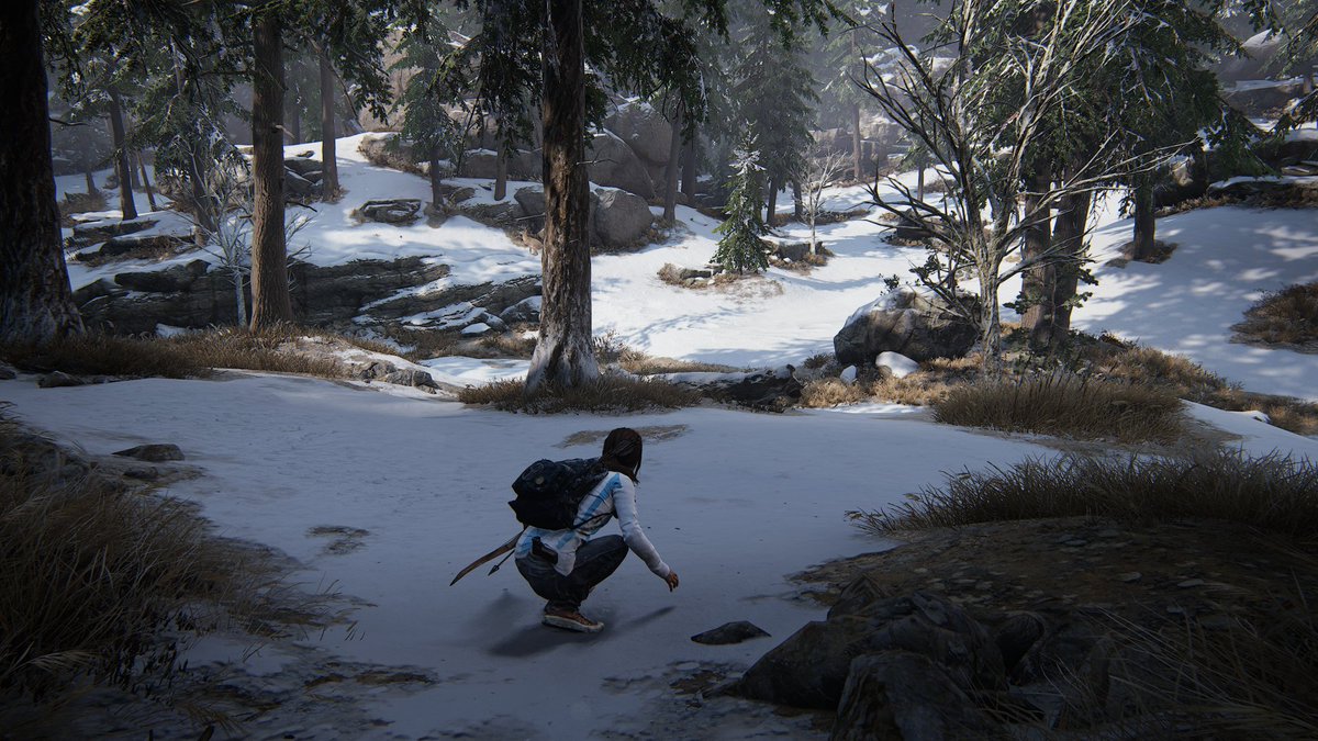 Che, por si alguno juega al tlou hice un mod para que Ellie use la camiseta de Argentina

nexusmods.com/thelastofuspar…