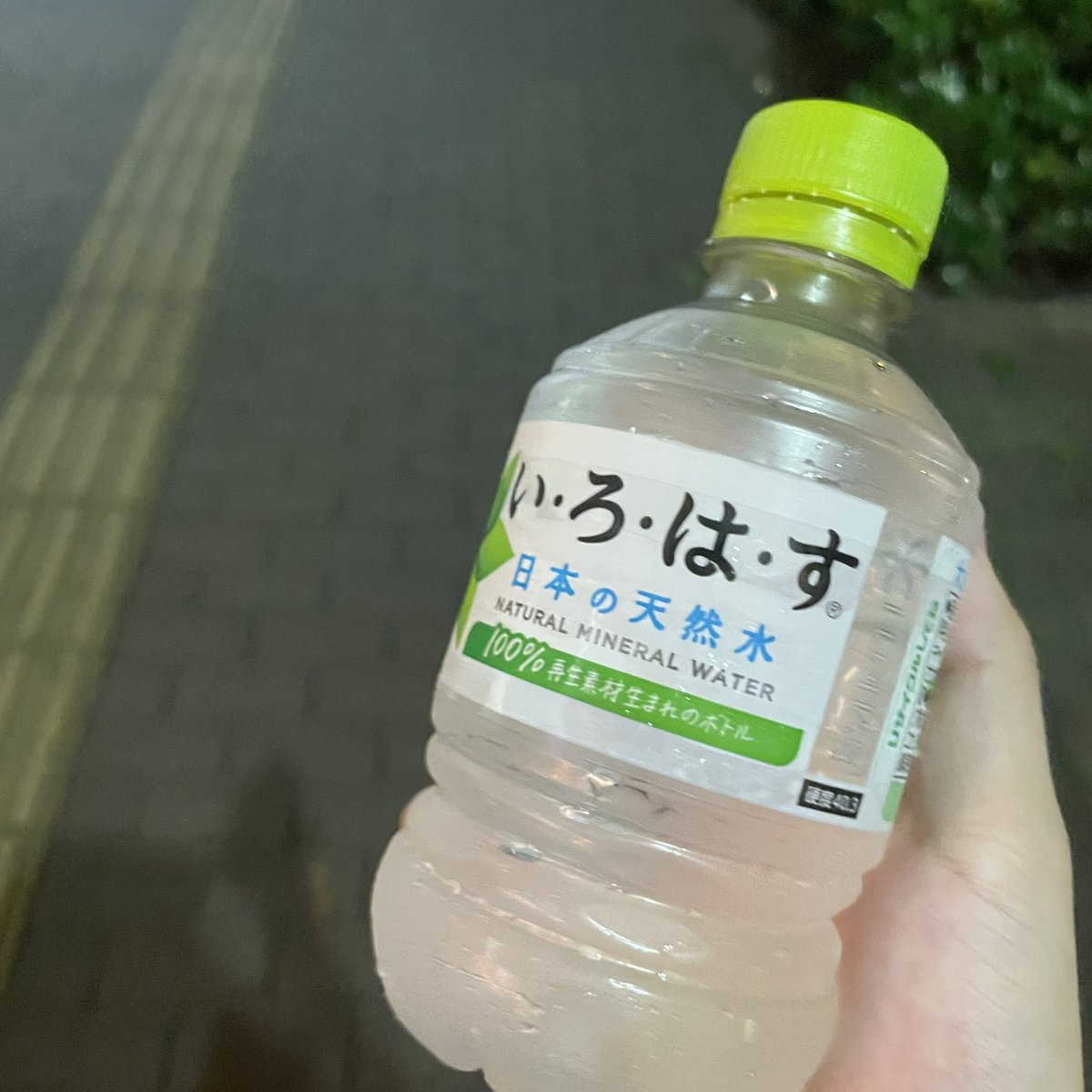 えみり大先生が買ってくれた😻🎵