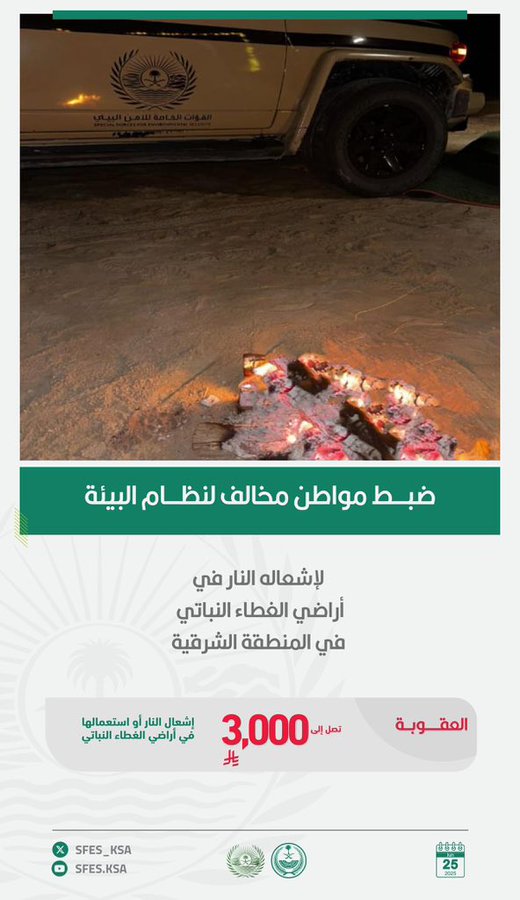 الصورة