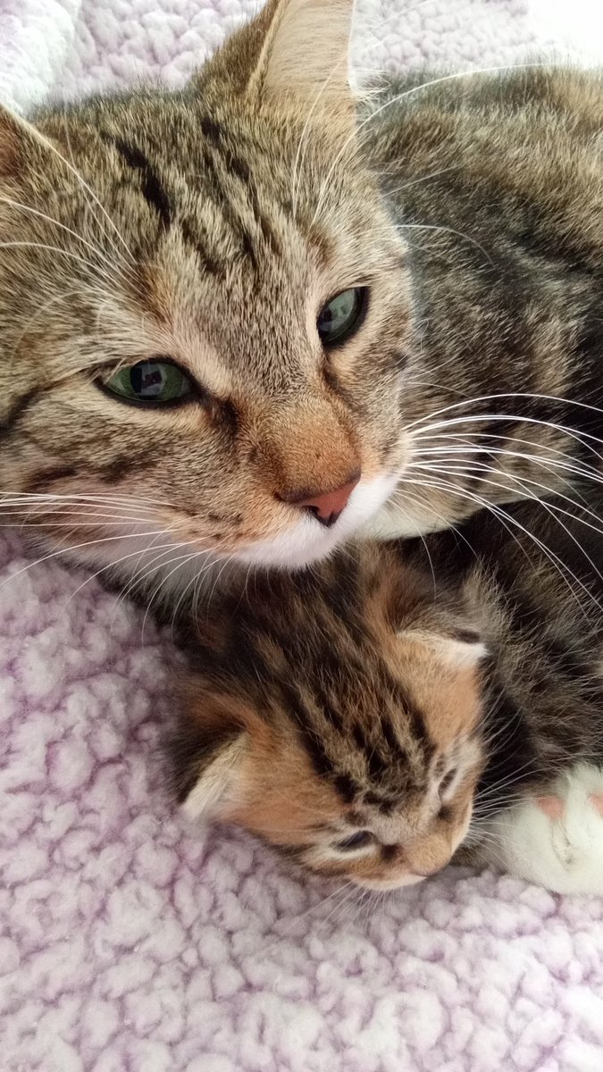 Maternity,  Nina with Juanito...