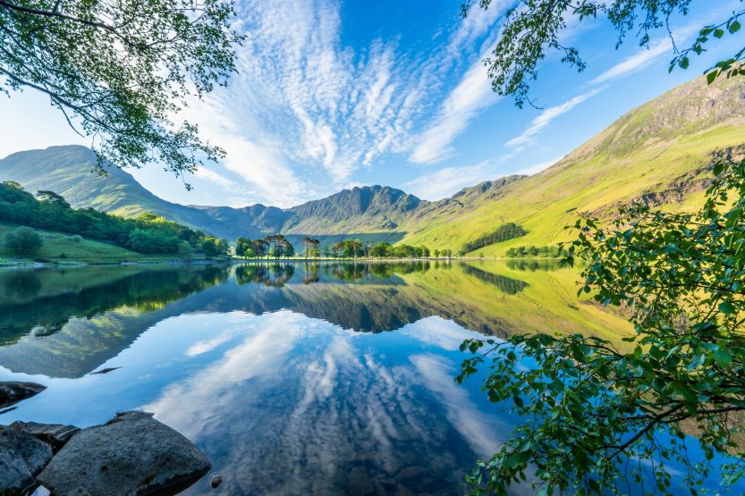 Four Lessons in Employee Engagement We Can Learn from Nature
thoughtleadersllc.com/2025/06/lesson…