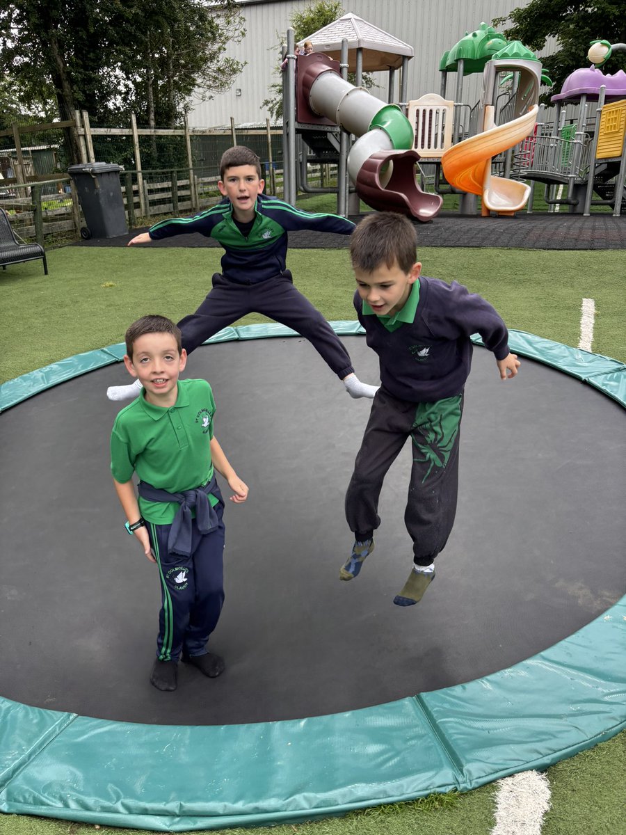 Y4 had great fun today at Lurgybrack Farm for their end of year trip. 🐷🦚🐓🛝