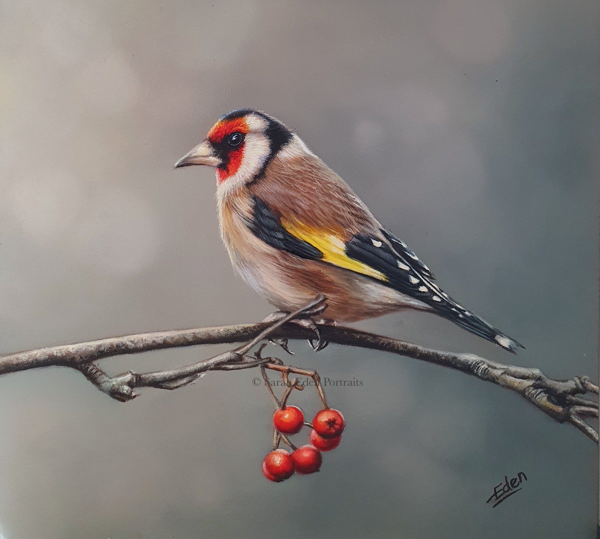 For those of you who saw this as a work in progress, this is the completed little goldfinch painting I was working on during the exhibition at The John Bowen gallery in Malmesbury. Oil on board 8x8.5"

#goldfinch #goldfinches #britishbirds #birdlovers #finch #finches #oilpainting