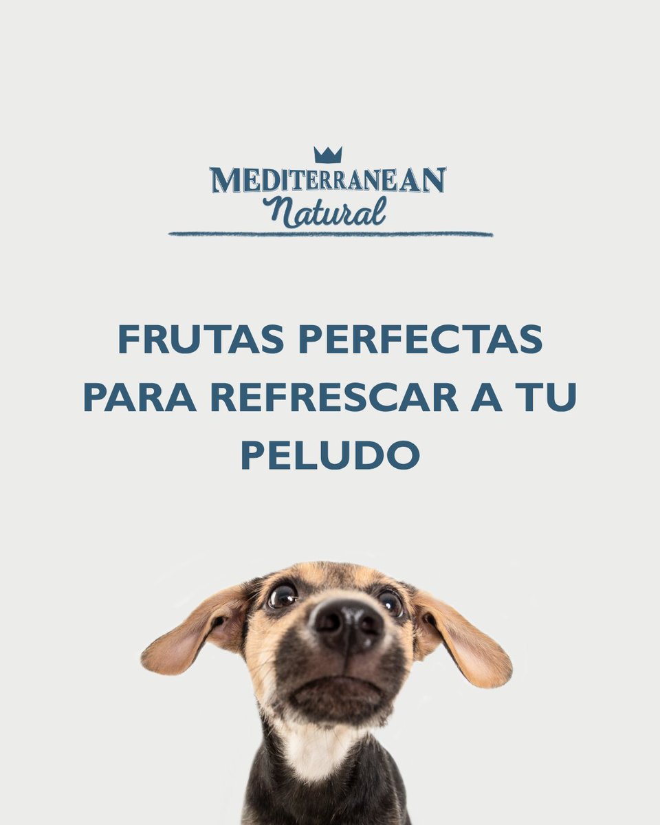 Mediterranean Natural tweet media