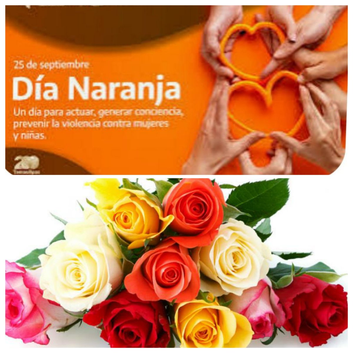 InesMChapman's tweet photo. #DíaNaranja Hoy como cada día generando conciencia para prevenir  la violencia contra mujeres y niñas, digamos #NoALaViolencia #CubaPorLaPaz https://t.co/I5r01vDIvf