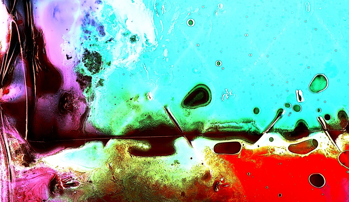 New Light is an exciting series of images I’ve been working on for five or six years.
There’s always something new—always fresh tones, unexpected colors, life!
 Image number: 96448901_6