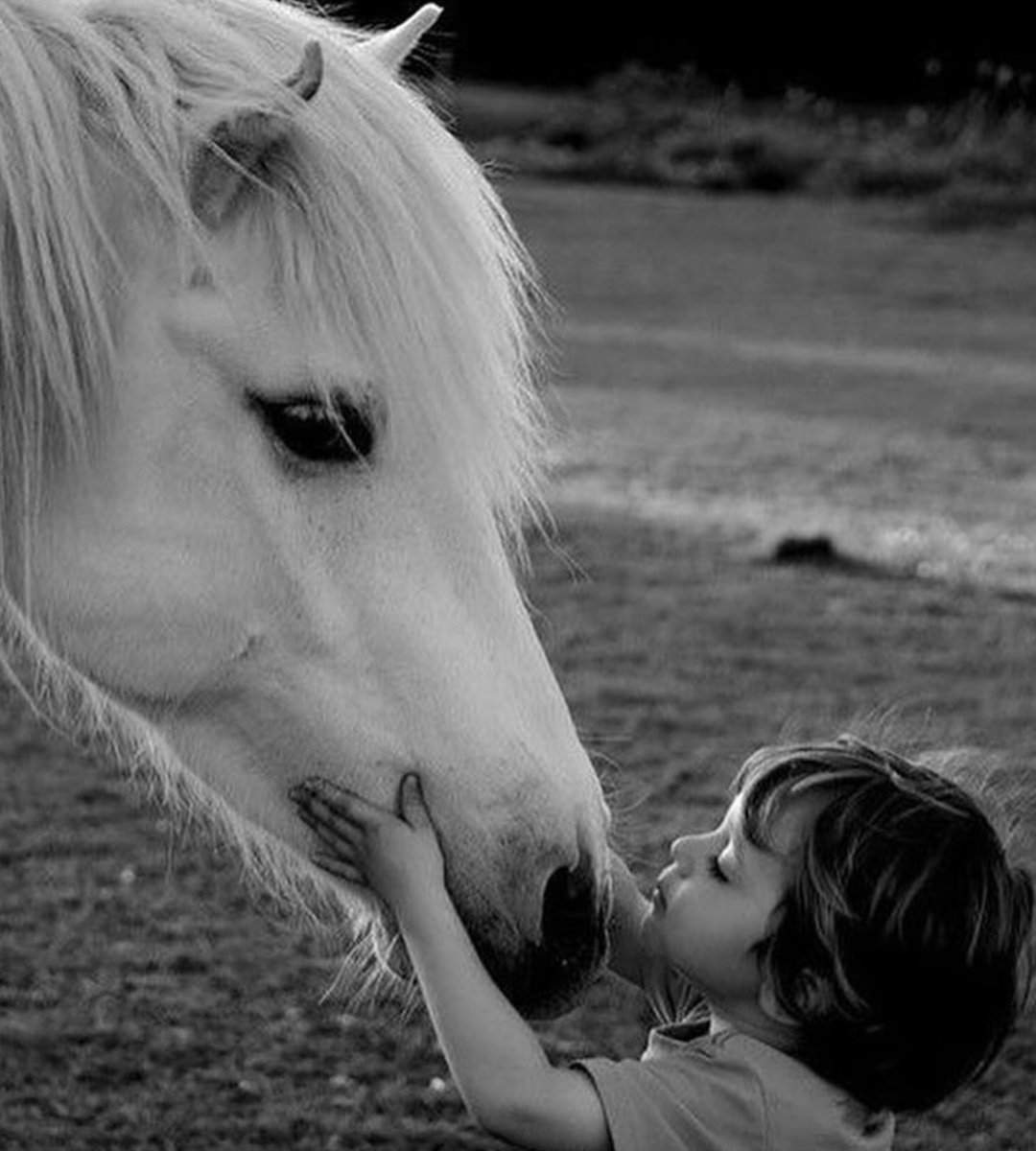 Good giddy morning dear ones! 

Call me crazy but I love to see people happy and succeeding. Life's a journey not a competition.

♥️ May your day be blessed beyond compare and don't forget, happiness is homemade! ♥️