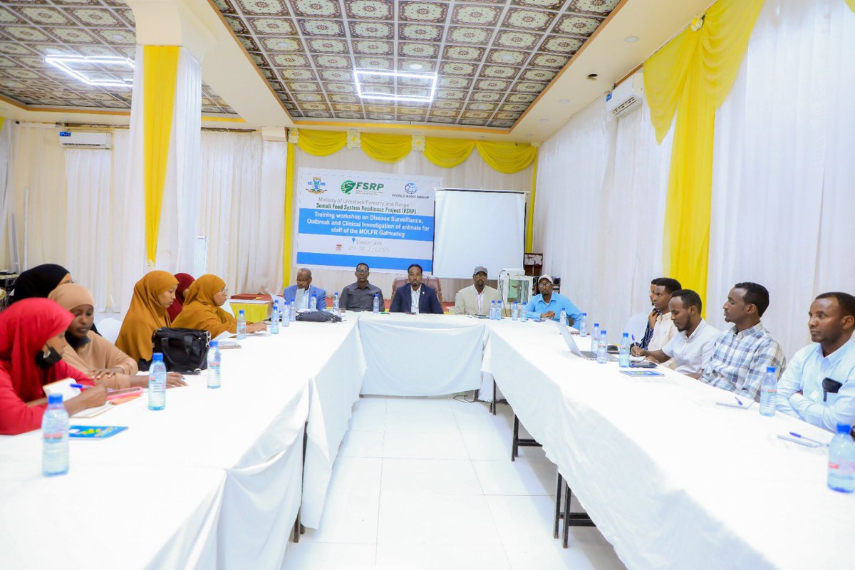 abdulahrob's tweet photo. Wasiir kuxigeenka Wasaraadda Xanaanada Xoolaha, Dhirta Galmudug Shariif Barre iyo Agaasimaha guud ee wasaraadda Dr. Saleebaan Maxamed Salaax ayaa magaalada Dhuusamareeb tababar soconaya muddo shan maalin ah  uga furay shaqaalaha wasaaradda. #ILASOCO https://t.co/H6H3IQ1q8g