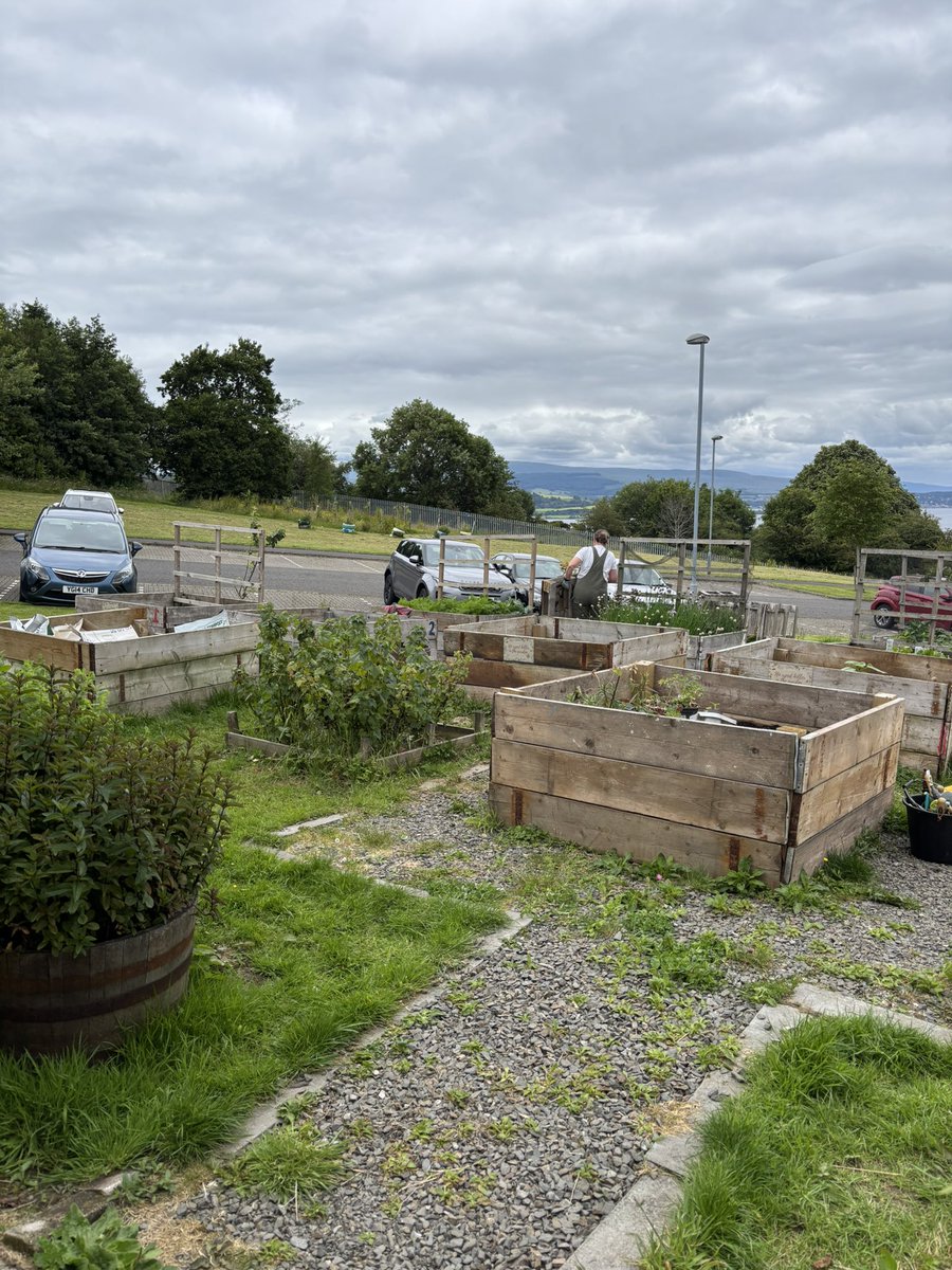 SCHS Social Subjects tweet media