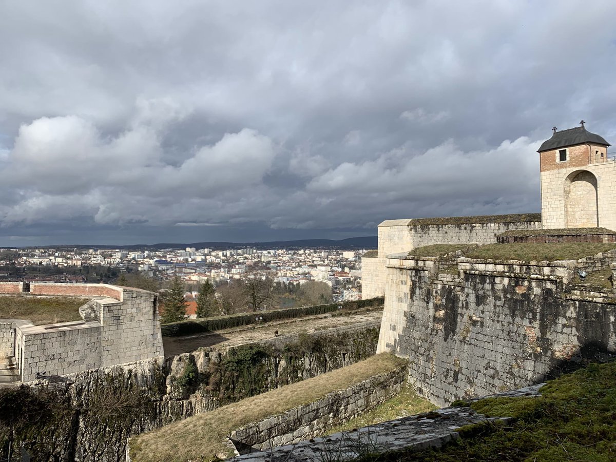 The History Syndicate Podcast tweet media