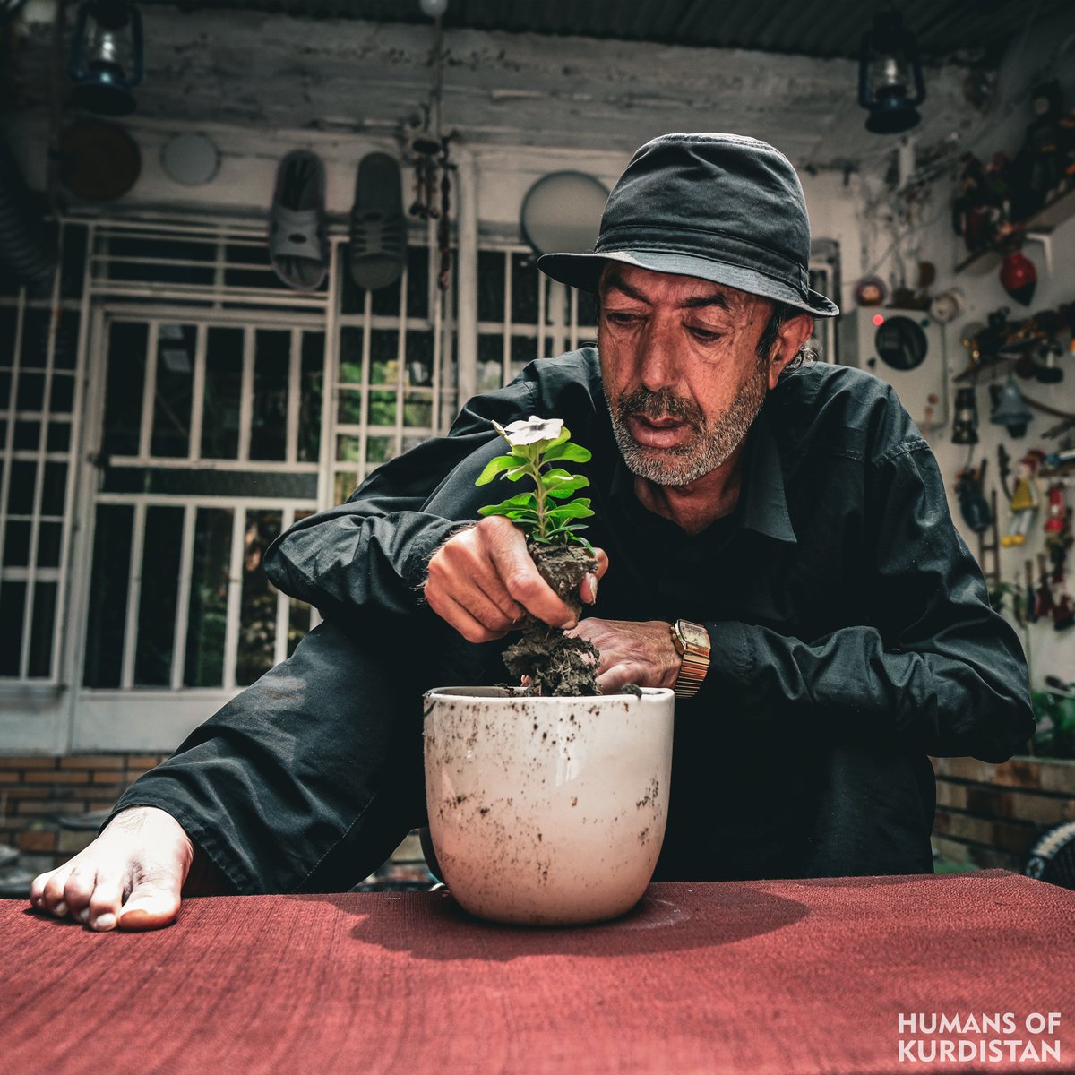 humansofkrd's tweet photo. Story of a Kurd from Southern Kurdistan

I started with a single flower pot, traveling from Sulaimani to Erbil and Ranya to see and buy flowers. My love for greenery and flowers is limitless. With the help of my disability wheelchair, I go to different places - the greenery has made me forget my disability.
I am Jabar Rawoof, 57 years old, and I have special needs. Due to the greenery in my home, people visit me daily. I was awarded the 'Greenest House in Kurdistan' by the Swedish Environmental Organization.
In autumn, when leaves and flowers turn yellow, I become very impatient. To me, flowers and greenery are like children - in spring, I bloom again with the flowers. With the help of my sister in-law and nephew, I've been able to create this green-filled home. Whenever I water the flowers and plants, I forget about my disability.
-
چیرۆکی کوردێکی باشوور 

لە ئینجانەیەک گوڵەوە دەستم پێ کرد، بۆ تەماشاکردن و کڕینی گوڵ لە سلێمانییەوە دەچوومە ھەولێر و ڕانیە. خۆشەویستیم بۆ سەوزایی و گوڵ بێسنوورە، بە یارمەتیی کورسیی کەمئەندامییەکەم دەڕۆم بۆ جێگە و شوێنەکان، سەوزایی کەمئەندامی لە بیر بردومەتەوە.
من (جەبار ڕەووف)م، تەمەنم ٥٧ ساڵە و خاوەن پێداویستیی تایبەتم. بەھۆی سەوزاییی ماڵەکەمەوە ڕۆژانە خەڵک سەردانم دەکەن. خەڵاتی سەوزترین ماڵی کوردستانم لە لایەن ڕێکخراوی ژینگەدۆستی سویدی-یەوە پێ بەخشراوە.
لە وەرزی پایزدا بە زەردبوونی گەڵا و گوڵەکان زۆر بێتاقەت دەبم. گوڵ و سەوزایی بەلای منەوە وەک منداڵێک وان، بەهاران لەگەڵ گوڵەکاندا دەگەشێمەوە. بە ھاوکاریی براژن و برازاکەم توانیومە ئەم ماڵە پڕ سەوزایییە دروست بکەم و هەر کاتێک ئاوی گوڵ و سەوزایییەکان دەدەم ئیتر دۆخی کەمئەندامیم بیر دەچێتەوە.
-
قصة كردي من جنوب كردستان
 
بدأتُ بسندانة زهور. سافرتُ من السليمانية إلى أربيل ورانية لرؤية الزهور وشرائها. عشقي للخضرة والزهور لا حدود له. أمشي على كرسي متحرك.  وقد انستني الخضرة إعاقتي.
أنا (جبار رؤوف)، ٥٧ عاماً، من ذوي الاحتياجات الخاصة. يزورني الناس يومياً بفضل خضرة منزلي. حصلتُ على جائزة "المنزل الأكثر خضرة في كردستان" من المنظمة السويدية للبيئة.
في فصل الخريف اشعر بالاكتئاب بسبب تحول لون الاوراق والاشجار للاصفر، الزهور والخضرة عندي اشبه بالاطفال، وفي الربيع أزدهر مع الورود.
بمساعدة زوجة اخي واطفال اخي،  تمكنت من صناعة هذا المنزل المليء بالخضرة، وفي الوقت الذي اروي الازهار والخضرة انسى اعاقتي.
#‌Sulaymaniyah | #Vim_Foundation
https://t.co/QsOe6T5lKy