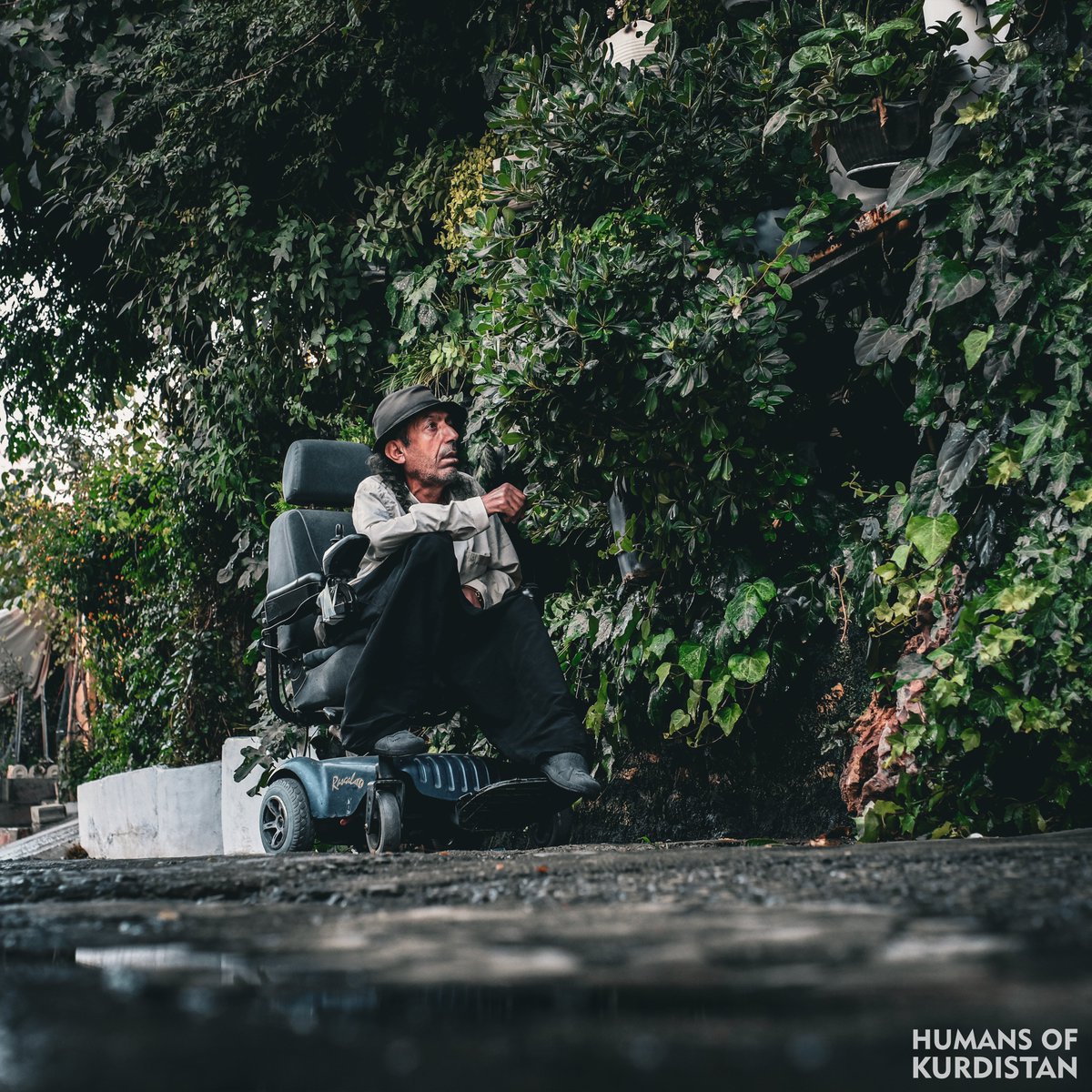 Story of a Kurd from Southern Kurdistan

I started with a single flower pot, traveling from Sulaimani to Erbil and Ranya to see and buy flowers. My love for greenery and flowers is limitless. With the help of my disability wheelchair, I go to different places - the greenery has