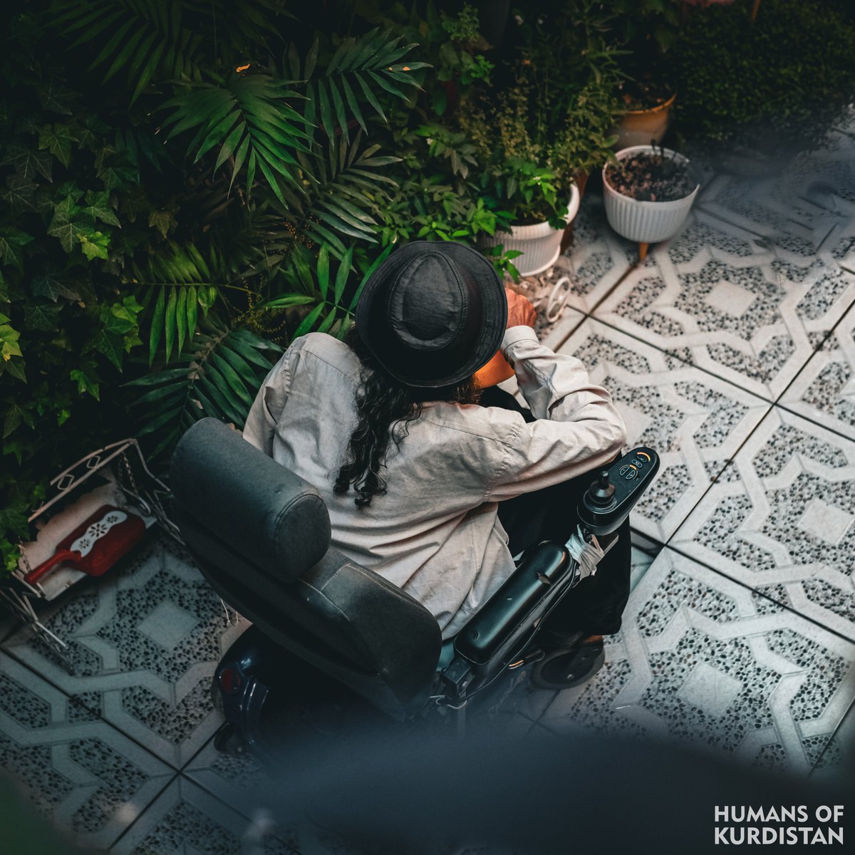 humansofkrd's tweet photo. Story of a Kurd from Southern Kurdistan

I started with a single flower pot, traveling from Sulaimani to Erbil and Ranya to see and buy flowers. My love for greenery and flowers is limitless. With the help of my disability wheelchair, I go to different places - the greenery has made me forget my disability.
I am Jabar Rawoof, 57 years old, and I have special needs. Due to the greenery in my home, people visit me daily. I was awarded the 'Greenest House in Kurdistan' by the Swedish Environmental Organization.
In autumn, when leaves and flowers turn yellow, I become very impatient. To me, flowers and greenery are like children - in spring, I bloom again with the flowers. With the help of my sister in-law and nephew, I've been able to create this green-filled home. Whenever I water the flowers and plants, I forget about my disability.
-
چیرۆکی کوردێکی باشوور 

لە ئینجانەیەک گوڵەوە دەستم پێ کرد، بۆ تەماشاکردن و کڕینی گوڵ لە سلێمانییەوە دەچوومە ھەولێر و ڕانیە. خۆشەویستیم بۆ سەوزایی و گوڵ بێسنوورە، بە یارمەتیی کورسیی کەمئەندامییەکەم دەڕۆم بۆ جێگە و شوێنەکان، سەوزایی کەمئەندامی لە بیر بردومەتەوە.
من (جەبار ڕەووف)م، تەمەنم ٥٧ ساڵە و خاوەن پێداویستیی تایبەتم. بەھۆی سەوزاییی ماڵەکەمەوە ڕۆژانە خەڵک سەردانم دەکەن. خەڵاتی سەوزترین ماڵی کوردستانم لە لایەن ڕێکخراوی ژینگەدۆستی سویدی-یەوە پێ بەخشراوە.
لە وەرزی پایزدا بە زەردبوونی گەڵا و گوڵەکان زۆر بێتاقەت دەبم. گوڵ و سەوزایی بەلای منەوە وەک منداڵێک وان، بەهاران لەگەڵ گوڵەکاندا دەگەشێمەوە. بە ھاوکاریی براژن و برازاکەم توانیومە ئەم ماڵە پڕ سەوزایییە دروست بکەم و هەر کاتێک ئاوی گوڵ و سەوزایییەکان دەدەم ئیتر دۆخی کەمئەندامیم بیر دەچێتەوە.
-
قصة كردي من جنوب كردستان
 
بدأتُ بسندانة زهور. سافرتُ من السليمانية إلى أربيل ورانية لرؤية الزهور وشرائها. عشقي للخضرة والزهور لا حدود له. أمشي على كرسي متحرك.  وقد انستني الخضرة إعاقتي.
أنا (جبار رؤوف)، ٥٧ عاماً، من ذوي الاحتياجات الخاصة. يزورني الناس يومياً بفضل خضرة منزلي. حصلتُ على جائزة "المنزل الأكثر خضرة في كردستان" من المنظمة السويدية للبيئة.
في فصل الخريف اشعر بالاكتئاب بسبب تحول لون الاوراق والاشجار للاصفر، الزهور والخضرة عندي اشبه بالاطفال، وفي الربيع أزدهر مع الورود.
بمساعدة زوجة اخي واطفال اخي،  تمكنت من صناعة هذا المنزل المليء بالخضرة، وفي الوقت الذي اروي الازهار والخضرة انسى اعاقتي.
#‌Sulaymaniyah | #Vim_Foundation
https://t.co/QsOe6T5lKy