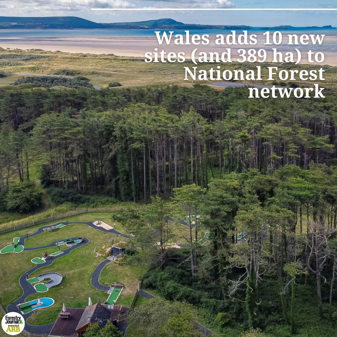 Ten new sites - totalling 389 hectares of woodland - have joined Wales' National Forest network. 

🔗 forestryjournal.co.uk/news/25241489.…