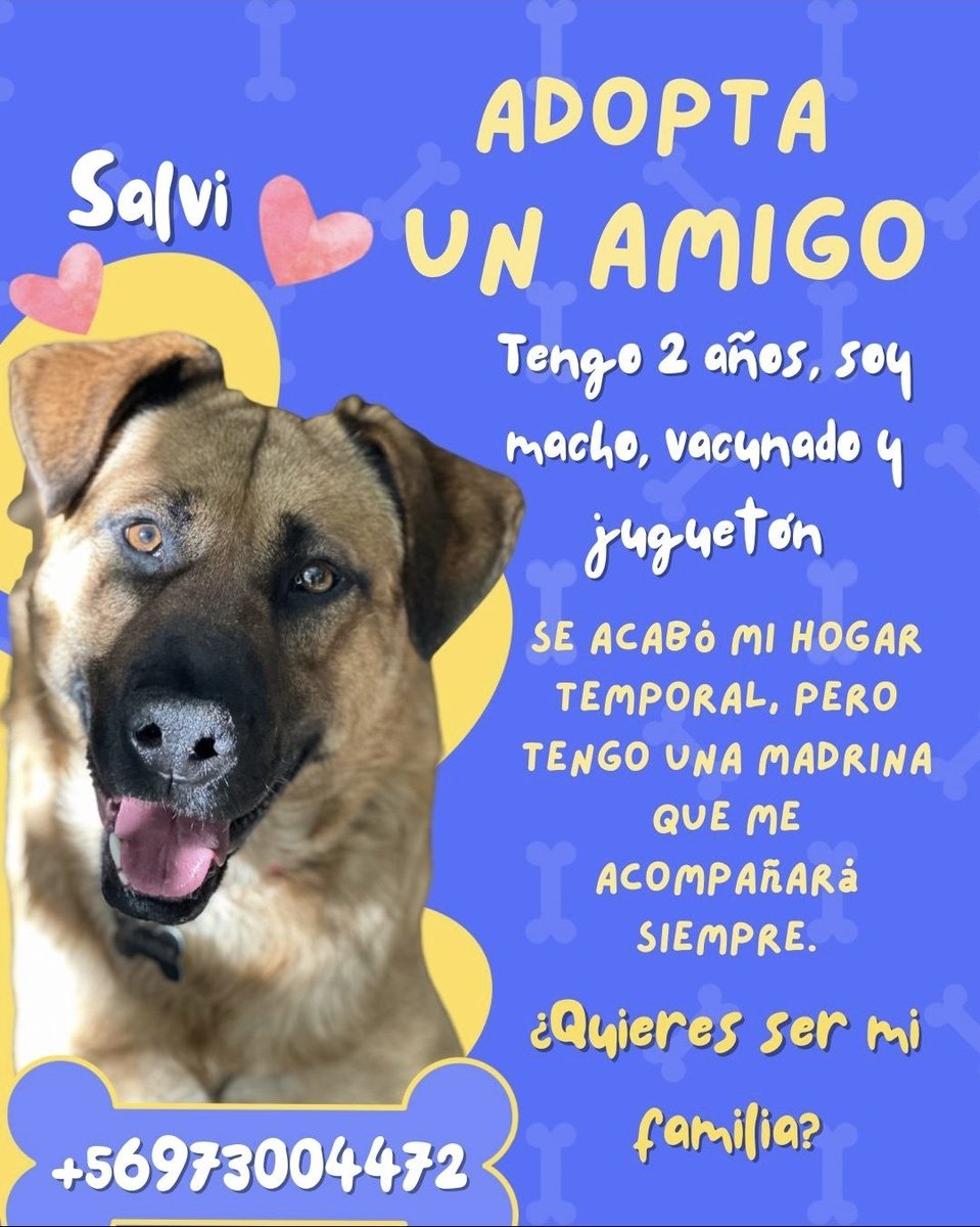 Felipe Andres VC (@felipeandresvc) on Twitter photo Favor difundir, necesitamos urgente hogar para Salvador, Se acabo su temporal y no tenemos mas, necesita estacio y paciencia para su adaptación. Rt 🙏
<a href="/carolinapinoc/">Caro 🌲 C.</a>
<a href="/Fundacion_CIMA/">Fundación C.I.M.A. Chile</a>
<a href="/BlanquitaMontt/">Blanquita Montt</a>
<a href="/sol_palacios_m/">Solange Palacios 🐾💕</a>
<a href="/fucancl/">Santuariofucan</a>
<a href="/fundacionikigai/">Ⓕⓤⓝⓓⓐⓒⓘⓞⓝ ⒾⓀⒾⒼⒶⒾ</a>
<a href="/nicoleconefinal/">Nϟc▕⃝⃤le 🌙</a>
<a href="/aaguvolpato/">agu </a> Favor difundir, necesitamos urgente hogar para Salvador, Se acabo su temporal y no tenemos mas, necesita estacio y paciencia para su adaptación. Rt 🙏
<a href="/carolinapinoc/">Caro 🌲 C.</a>
<a href="/Fundacion_CIMA/">Fundación C.I.M.A. Chile</a>
<a href="/BlanquitaMontt/">Blanquita Montt</a>
<a href="/sol_palacios_m/">Solange Palacios 🐾💕</a>
<a href="/fucancl/">Santuariofucan</a>
<a href="/fundacionikigai/">Ⓕⓤⓝⓓⓐⓒⓘⓞⓝ ⒾⓀⒾⒼⒶⒾ</a>
<a href="/nicoleconefinal/">Nϟc▕⃝⃤le 🌙</a>
<a href="/aaguvolpato/">agu </a>