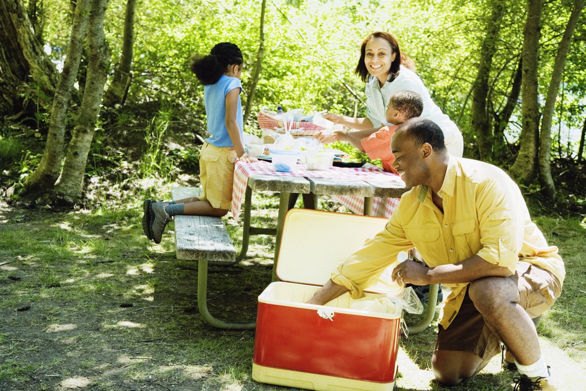 Food Fact: Picnics can be a lot of fun. But you know what isn't? Food poisoning! When temperatures climb into the 90s, rethink your picnic staples. Leave behind mayonnaise-based dishes (they spoil quickly), keep cold foods in a cooler, bring plenty of water to wash your hands!