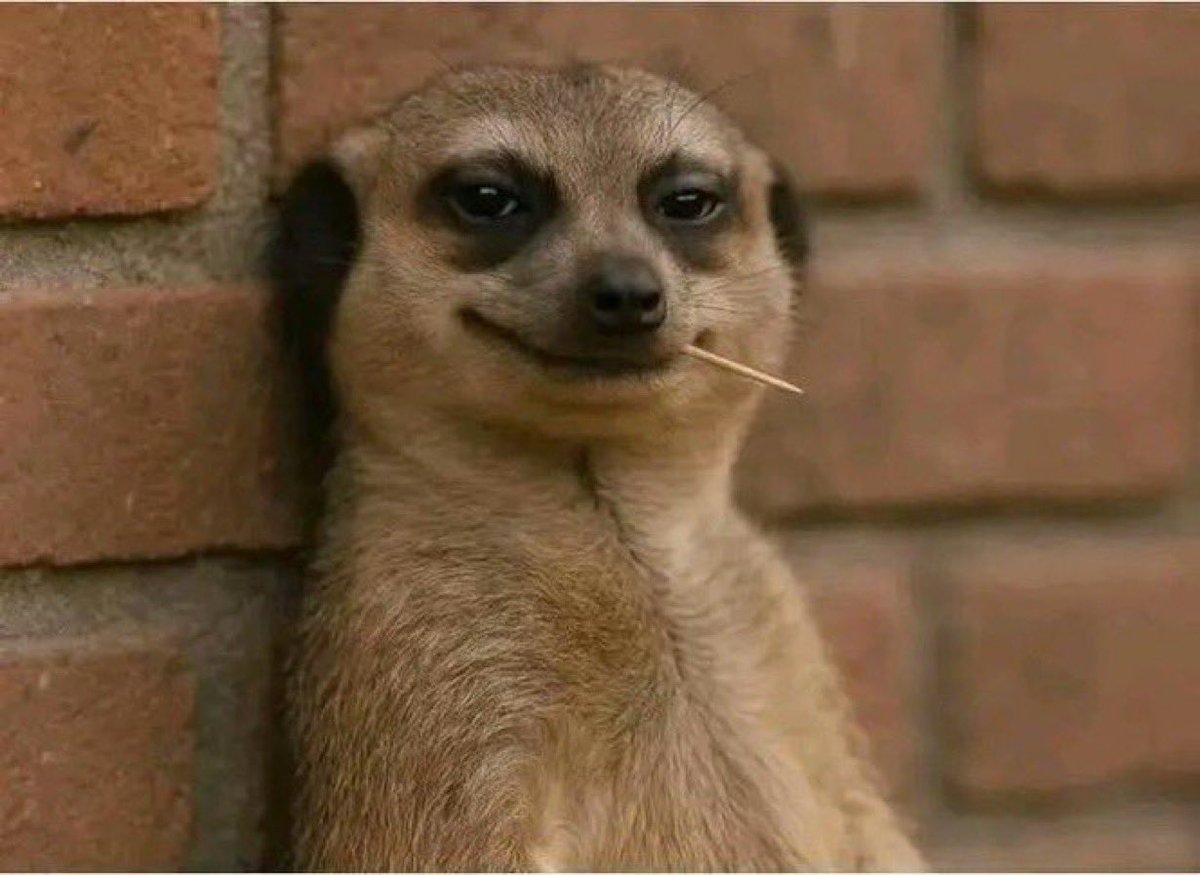 _Tenaxx's tweet photo. Mukwasha tiratidze bank balance yako

Me: 👇 https://t.co/RDZhqv0MIg